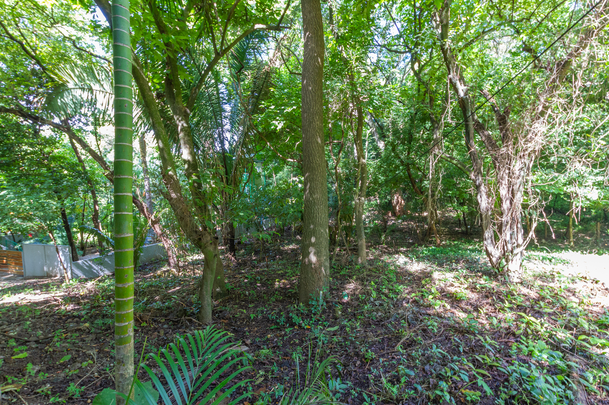 H Section Building Lot