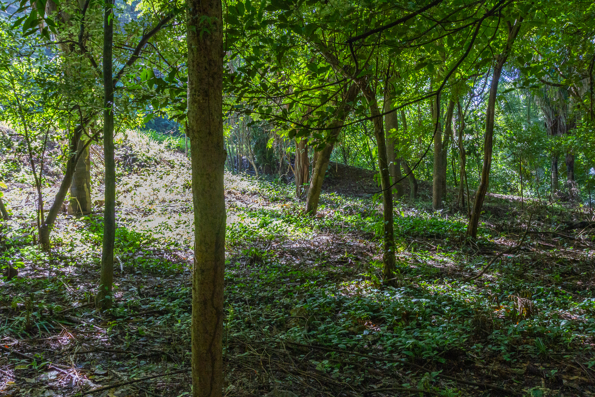 H Section Building Lot