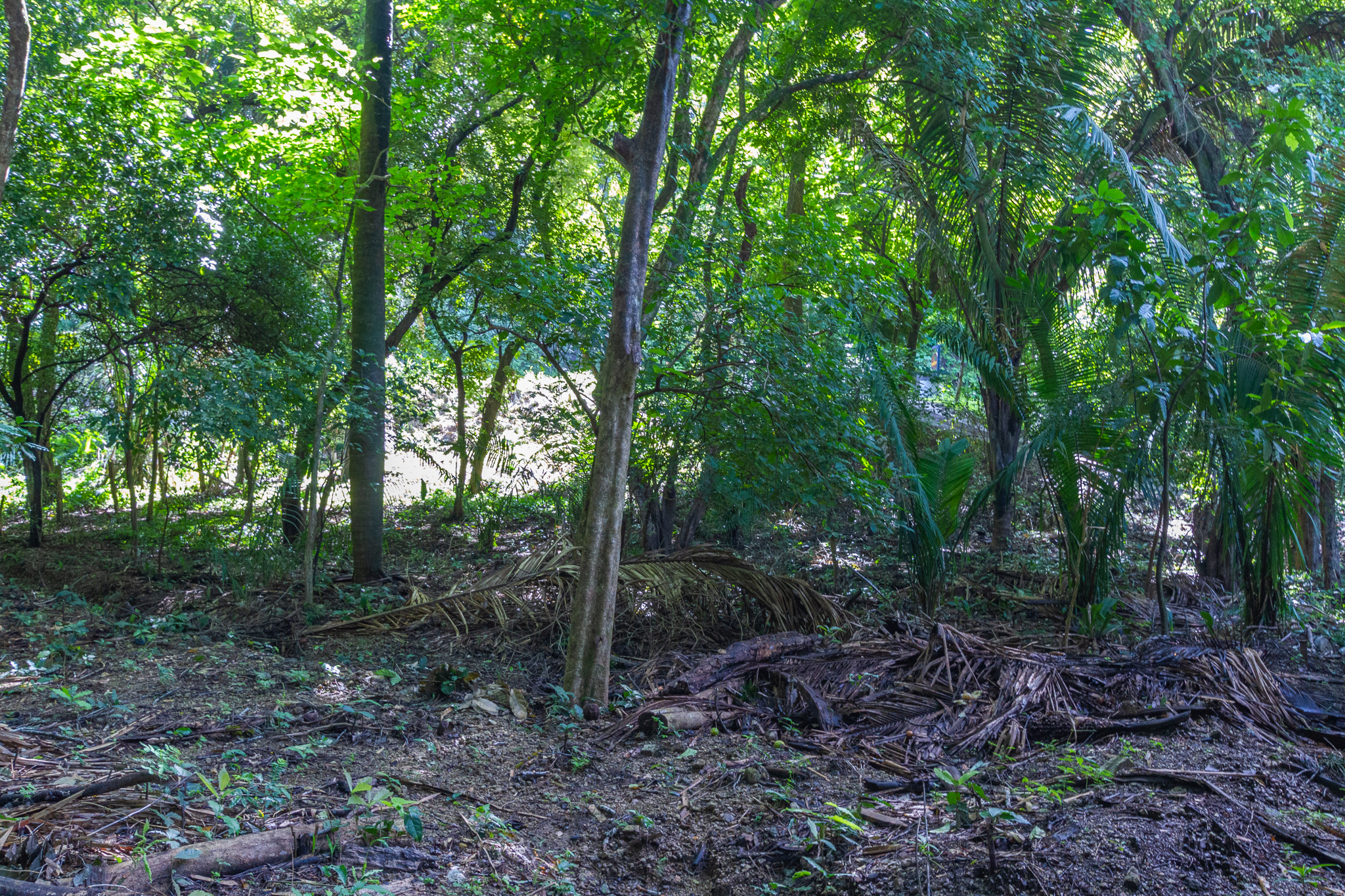 H Section Building Lot