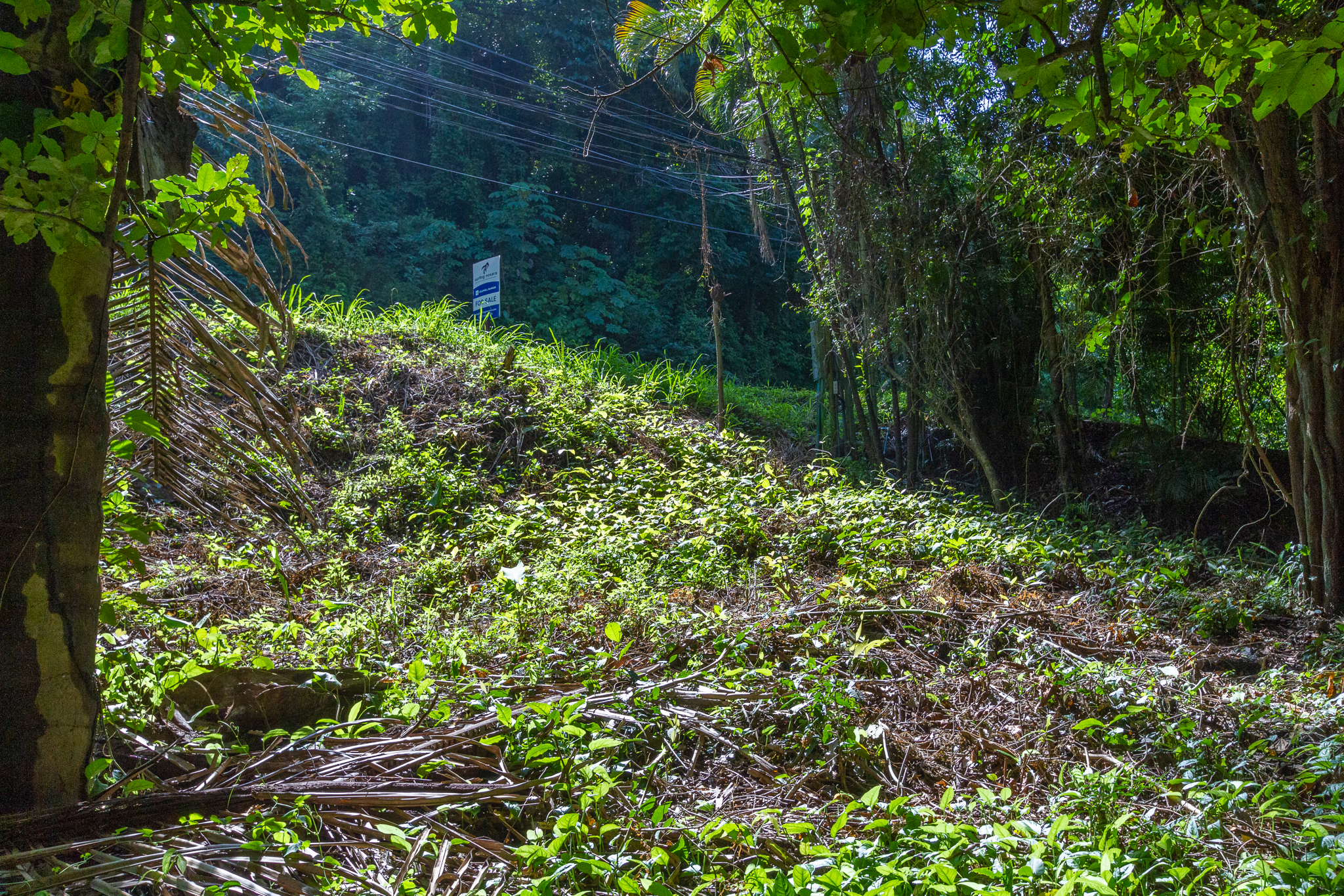 H Section Building Lot