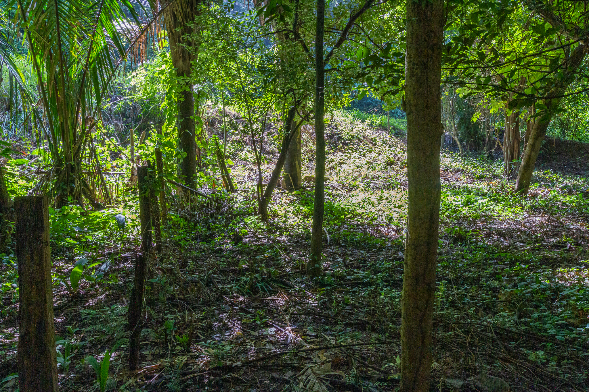 H Section Building Lot