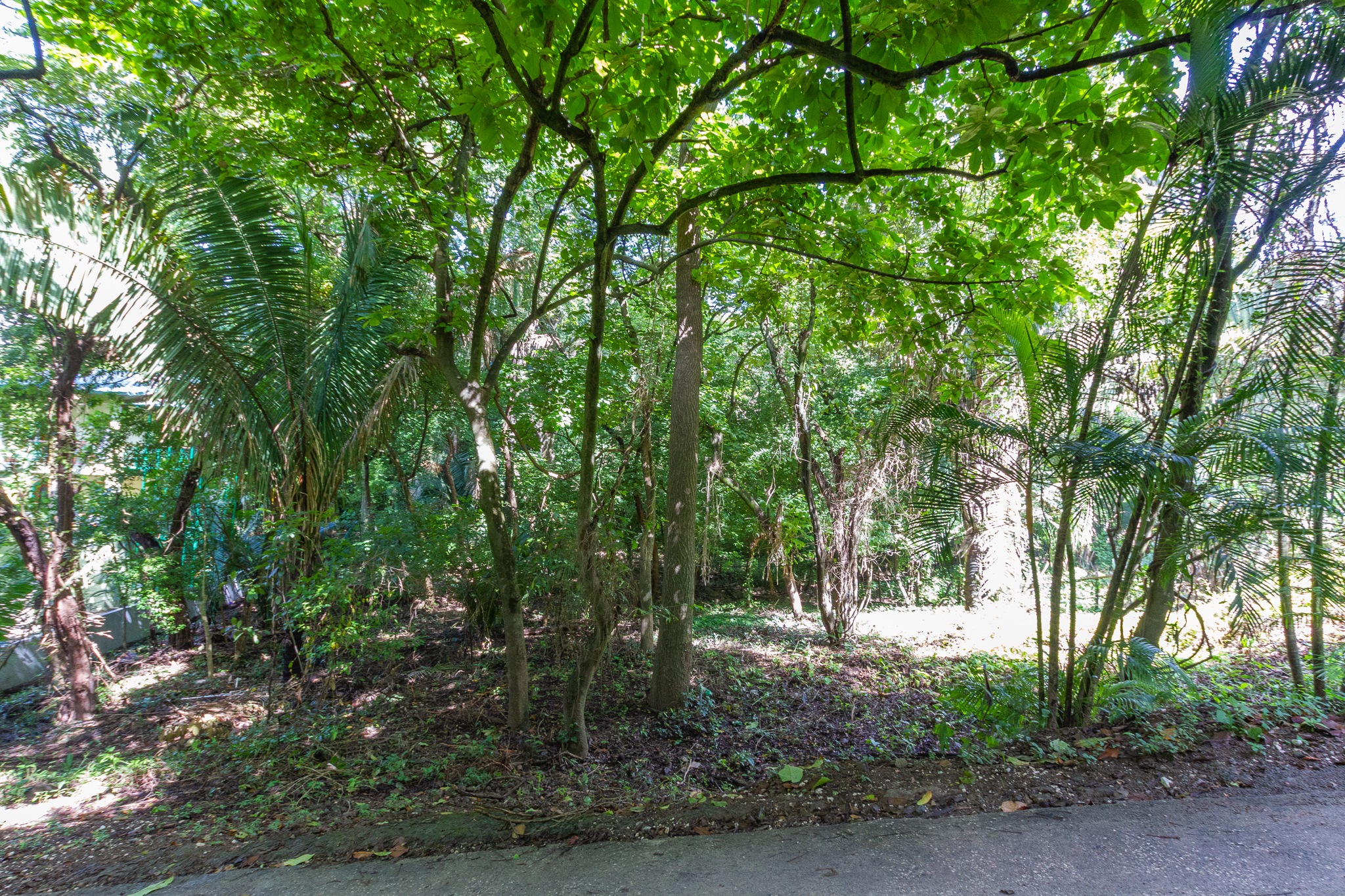 H Section Building Lot