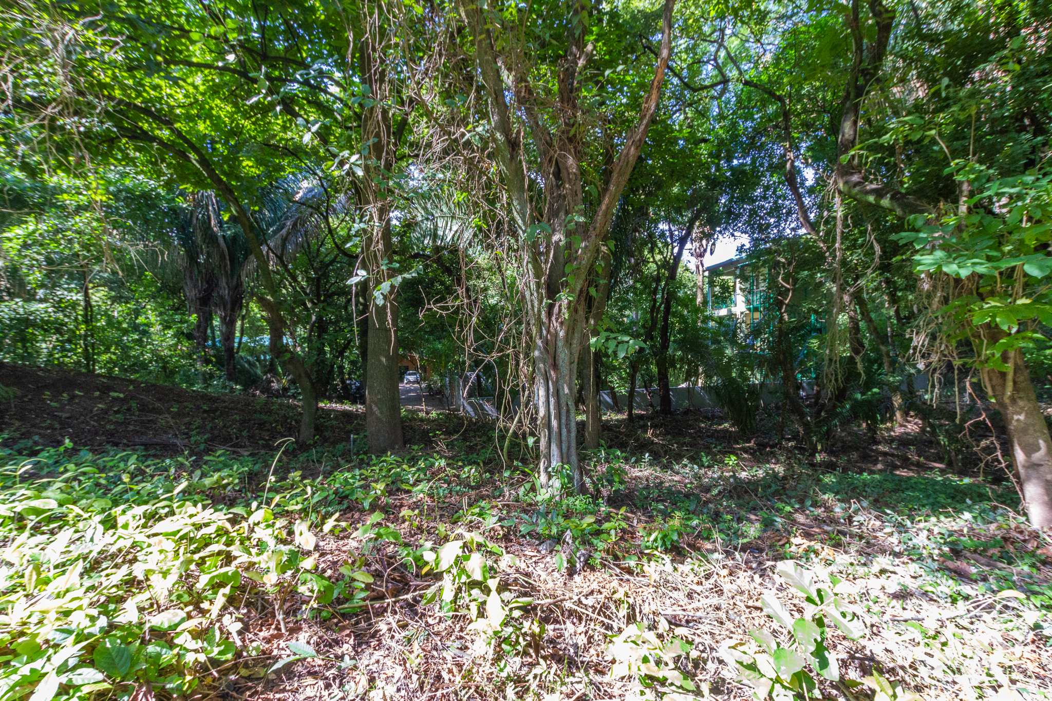 H Section Building Lot