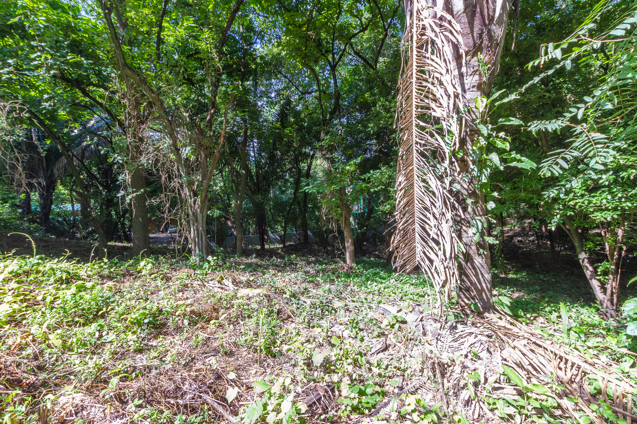 H Section Building Lot