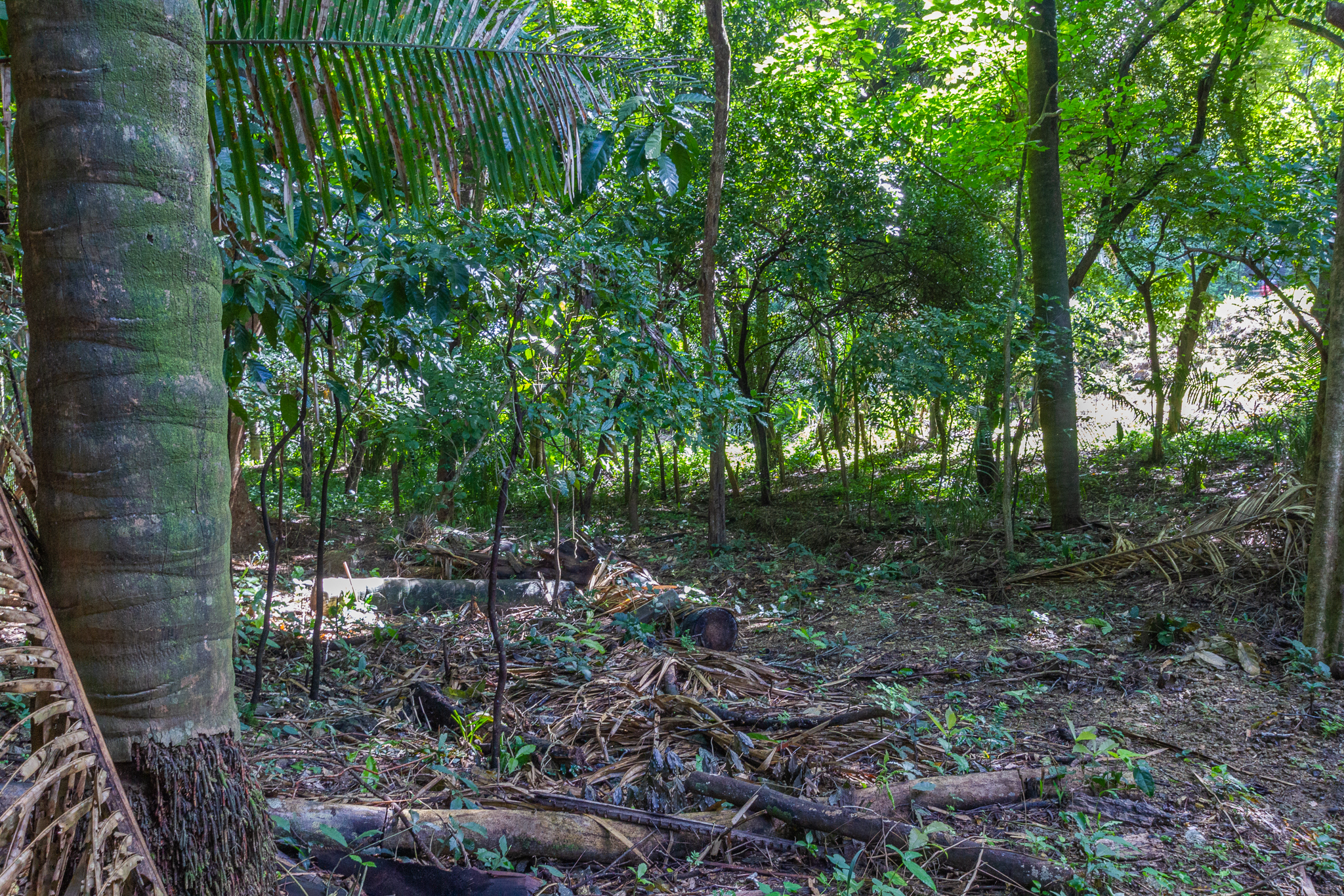 H Section Building Lot