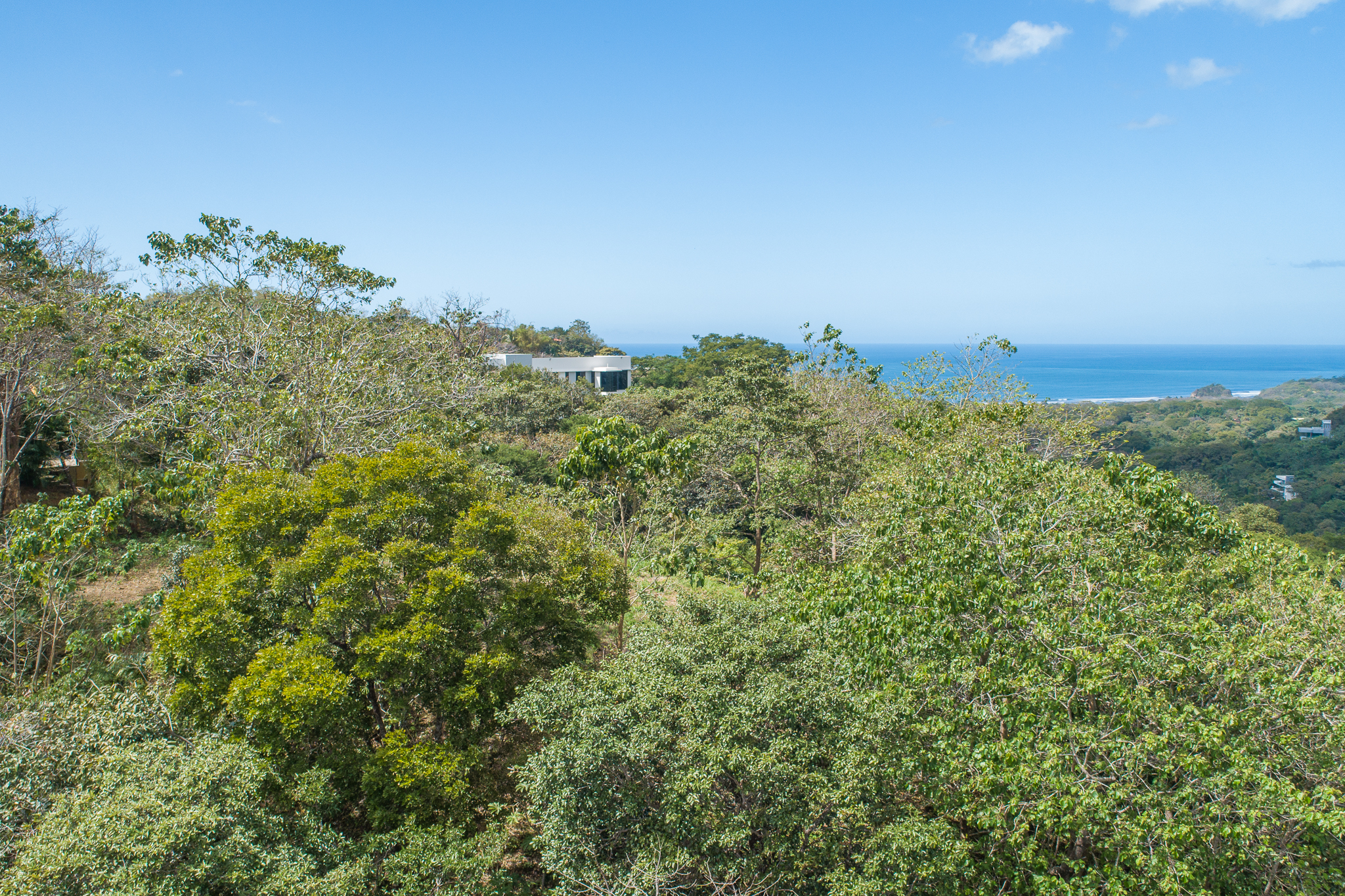 Breathtaking view surrounded by Local Preserve!