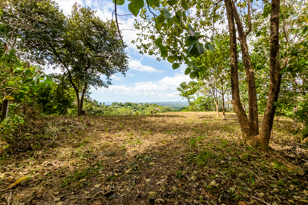 Breathtaking view surrounded by Local Preserve!