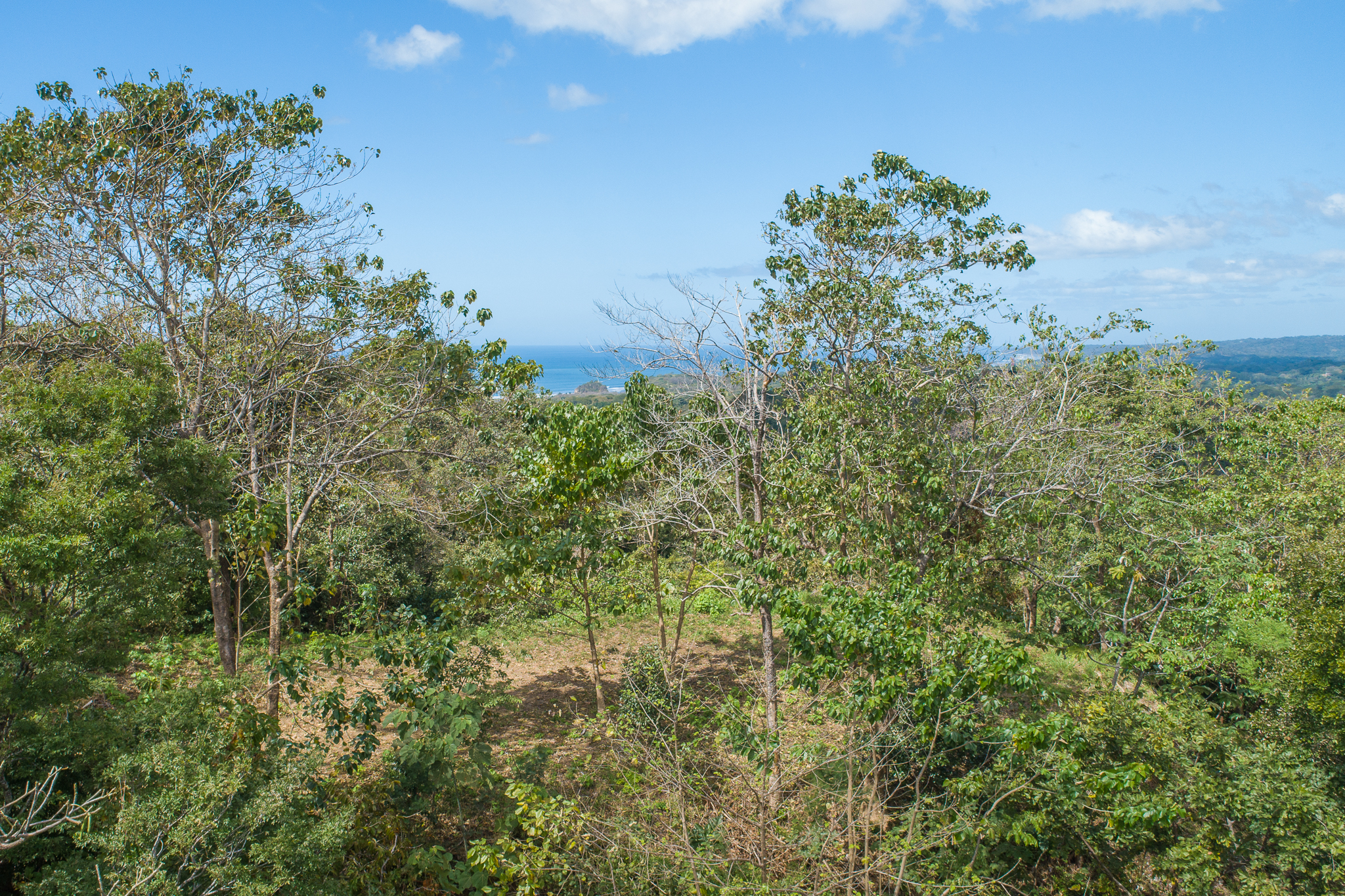 Breathtaking view surrounded by Local Preserve!