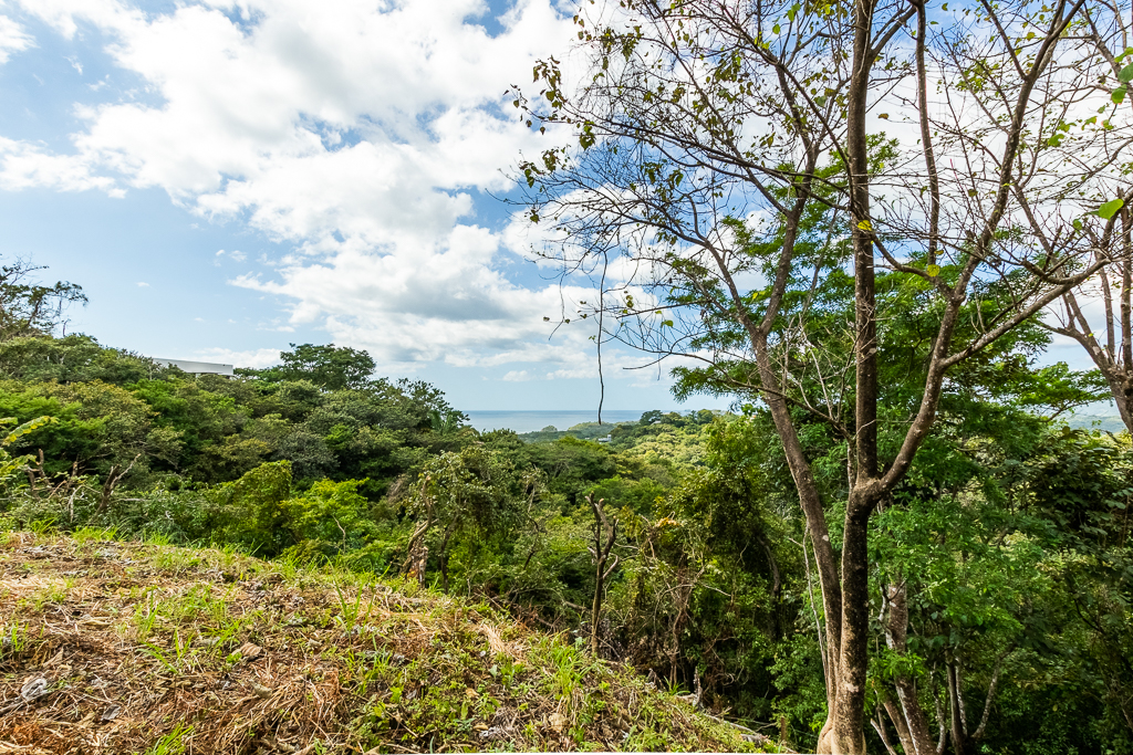 Breathtaking view surrounded by Local Preserve!