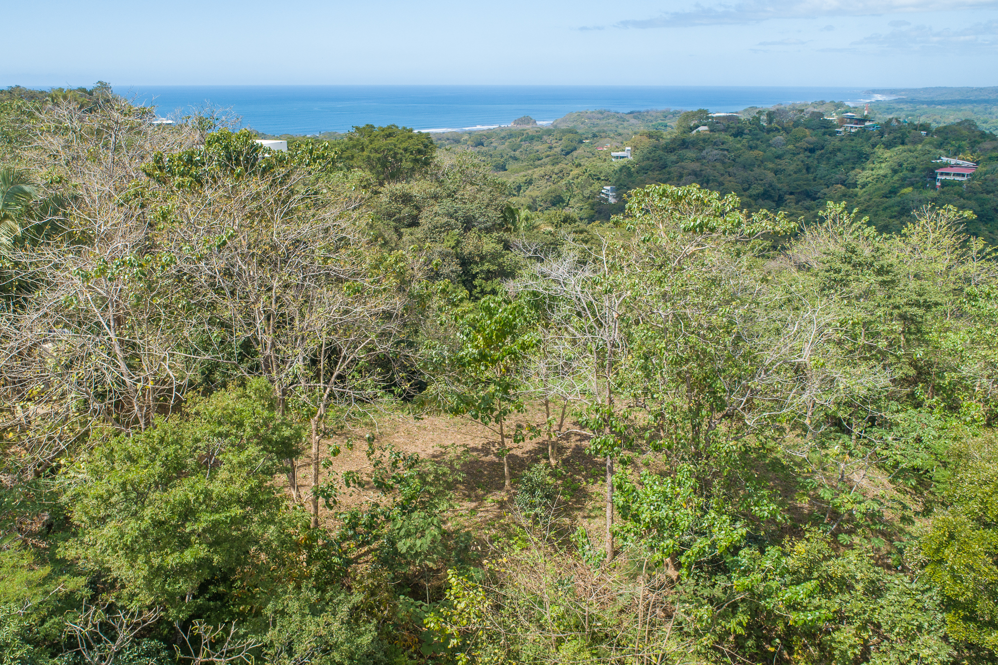 Breathtaking view surrounded by Local Preserve!