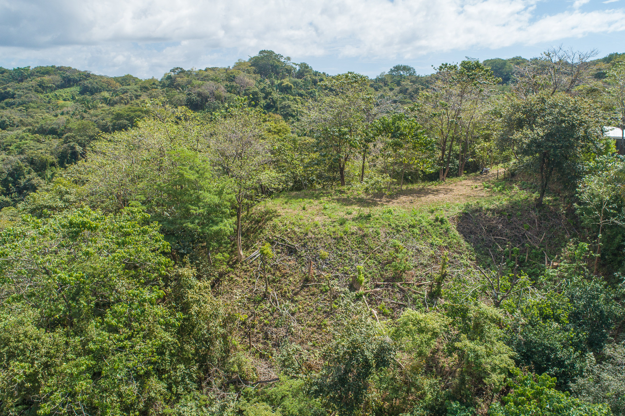 Breathtaking view surrounded by Local Preserve!