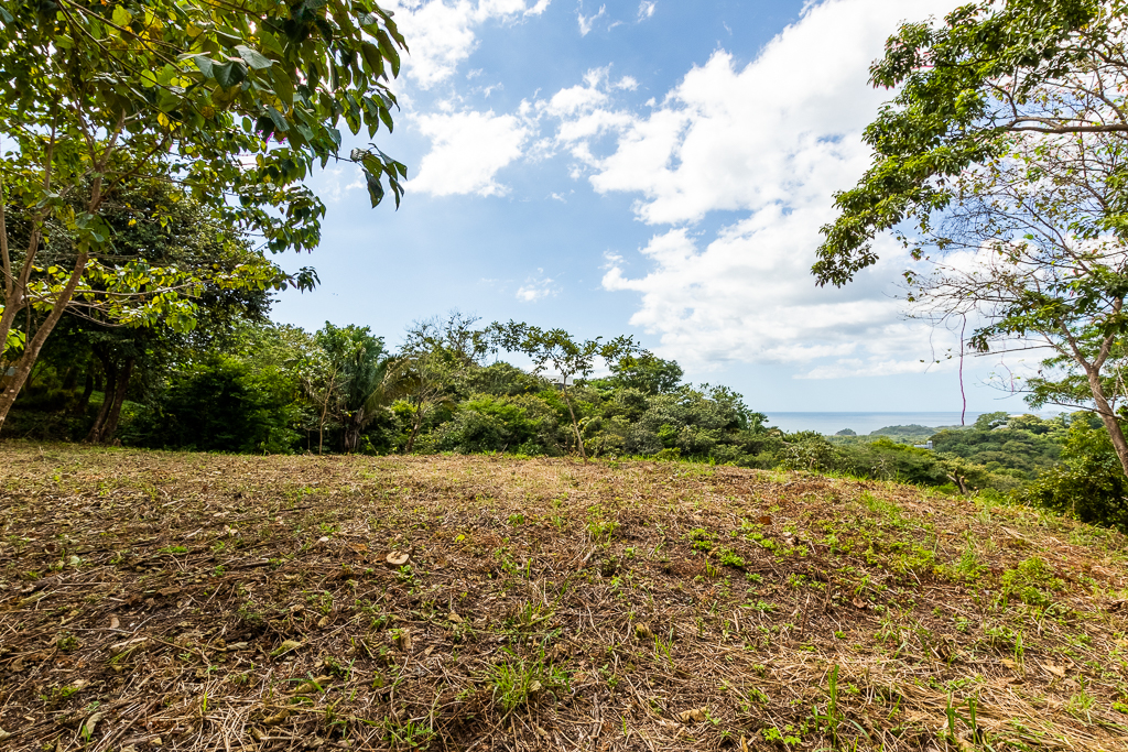 Breathtaking view surrounded by Local Preserve!
