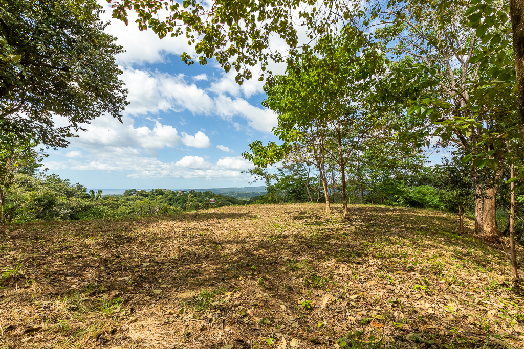 Breathtaking view surrounded by Local Preserve!