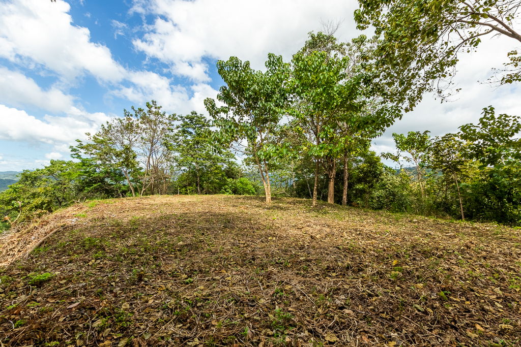 Breathtaking view surrounded by Local Preserve!