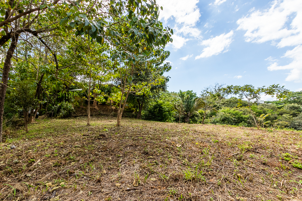 Breathtaking view surrounded by Local Preserve!