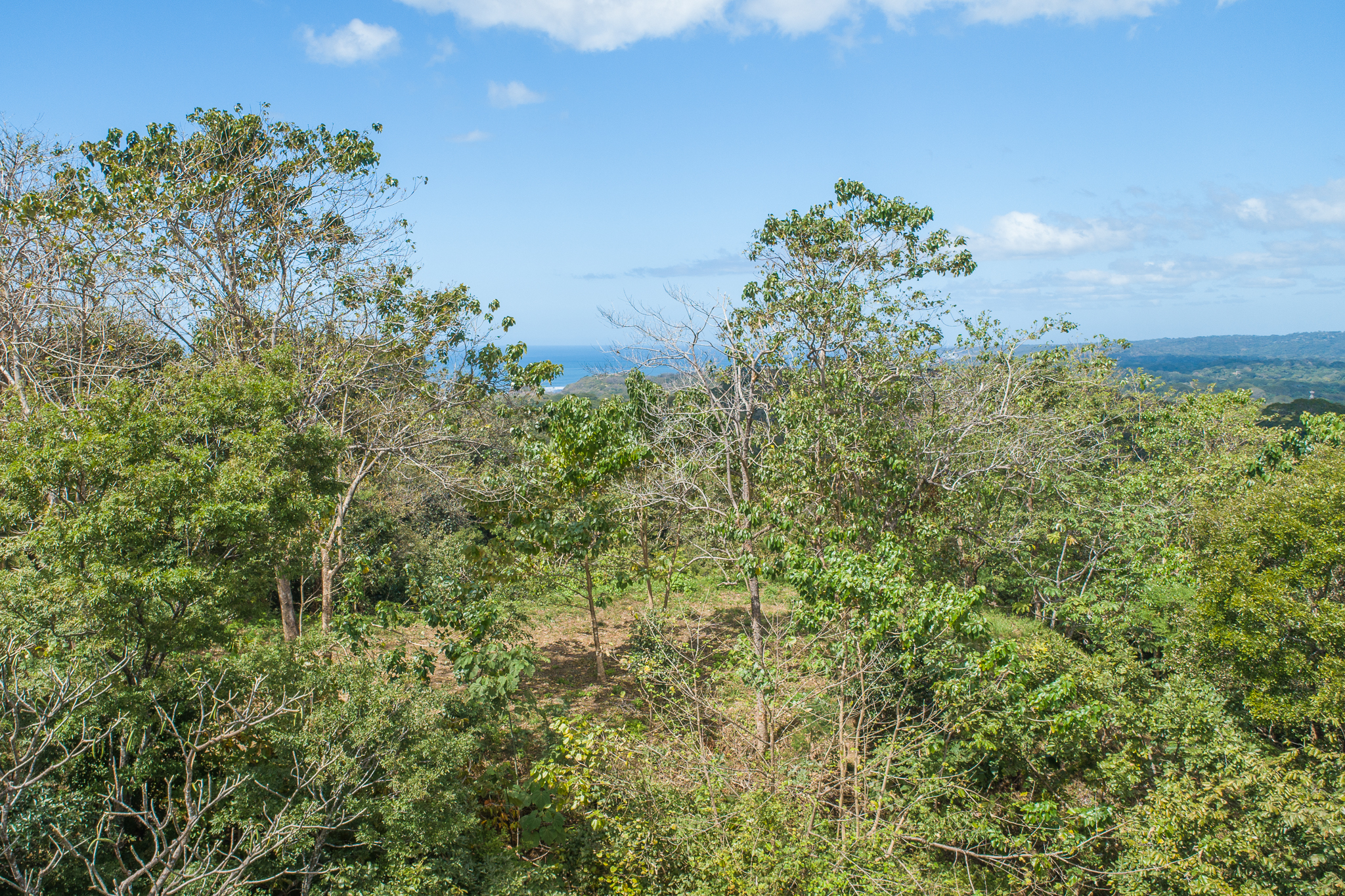 Breathtaking view surrounded by Local Preserve!