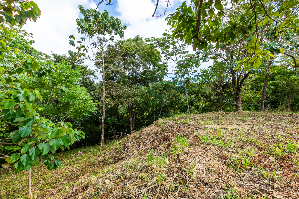 Breathtaking view surrounded by Local Preserve!