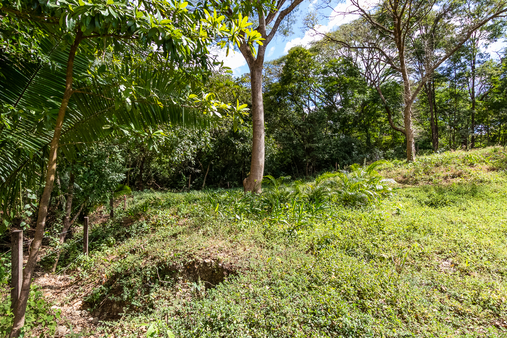 Nosara