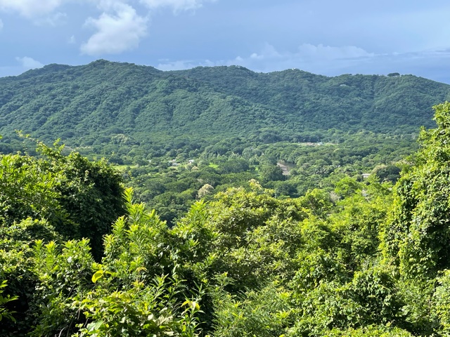Nosara