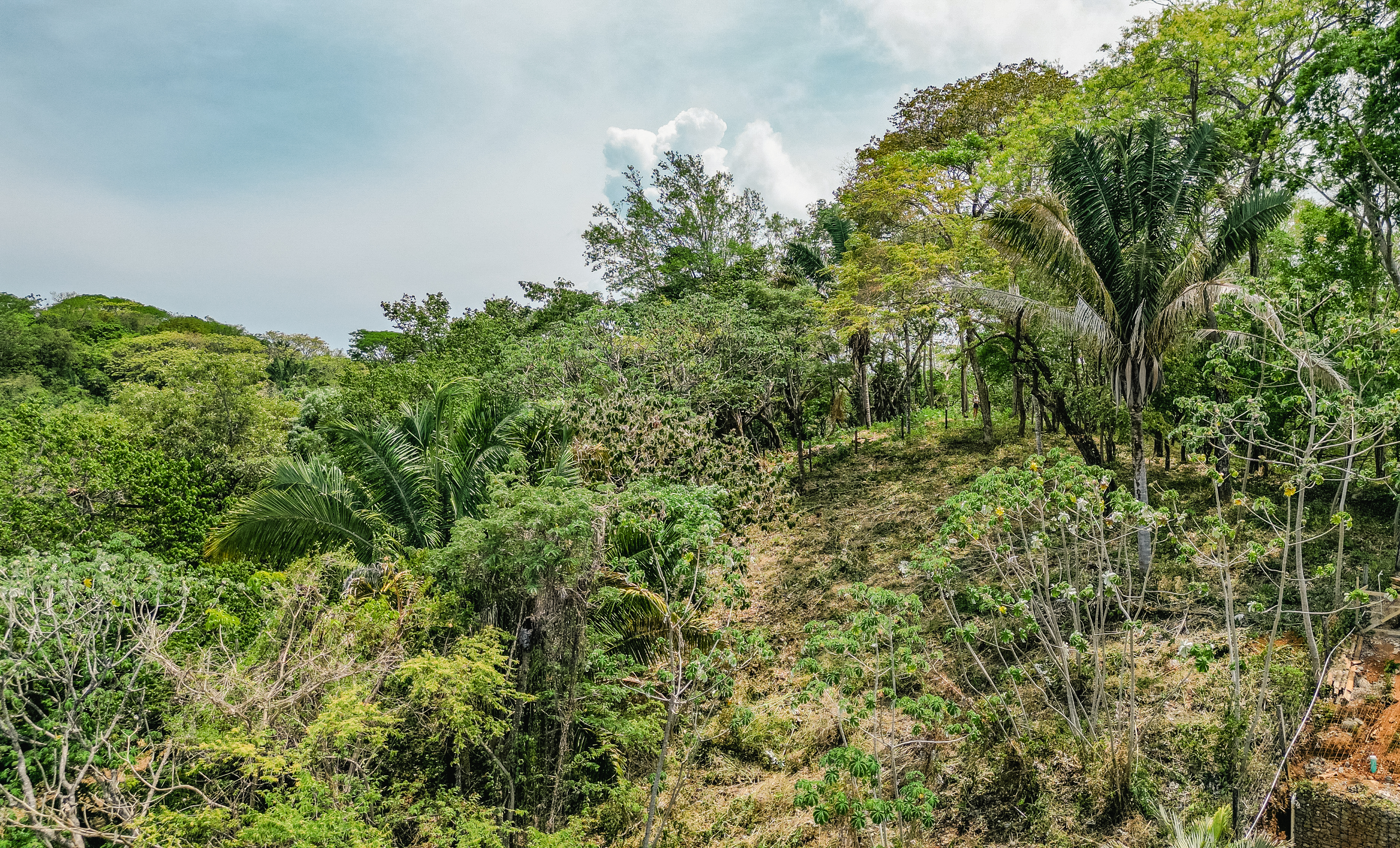 Nosara