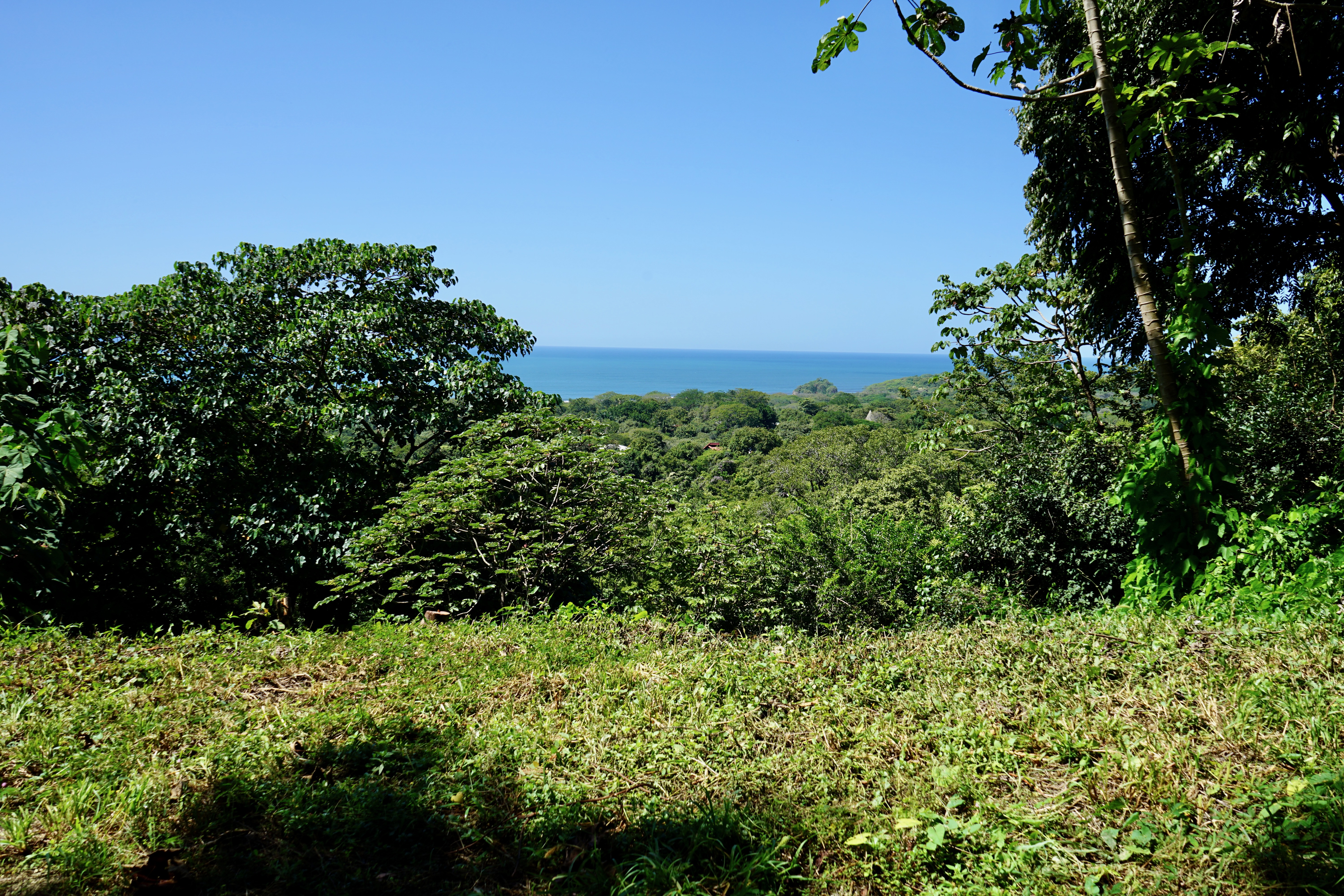 Nosara
