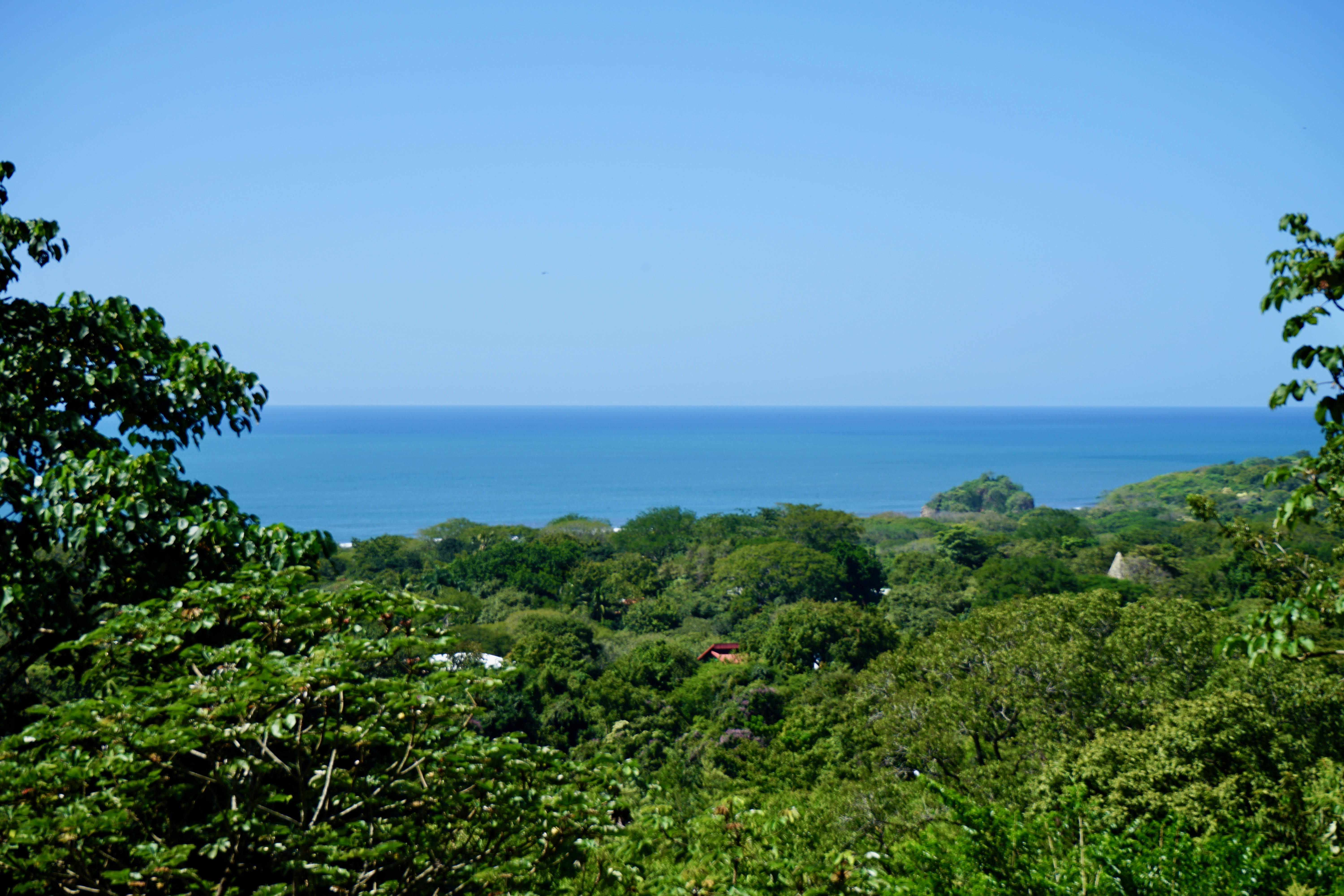 Nosara