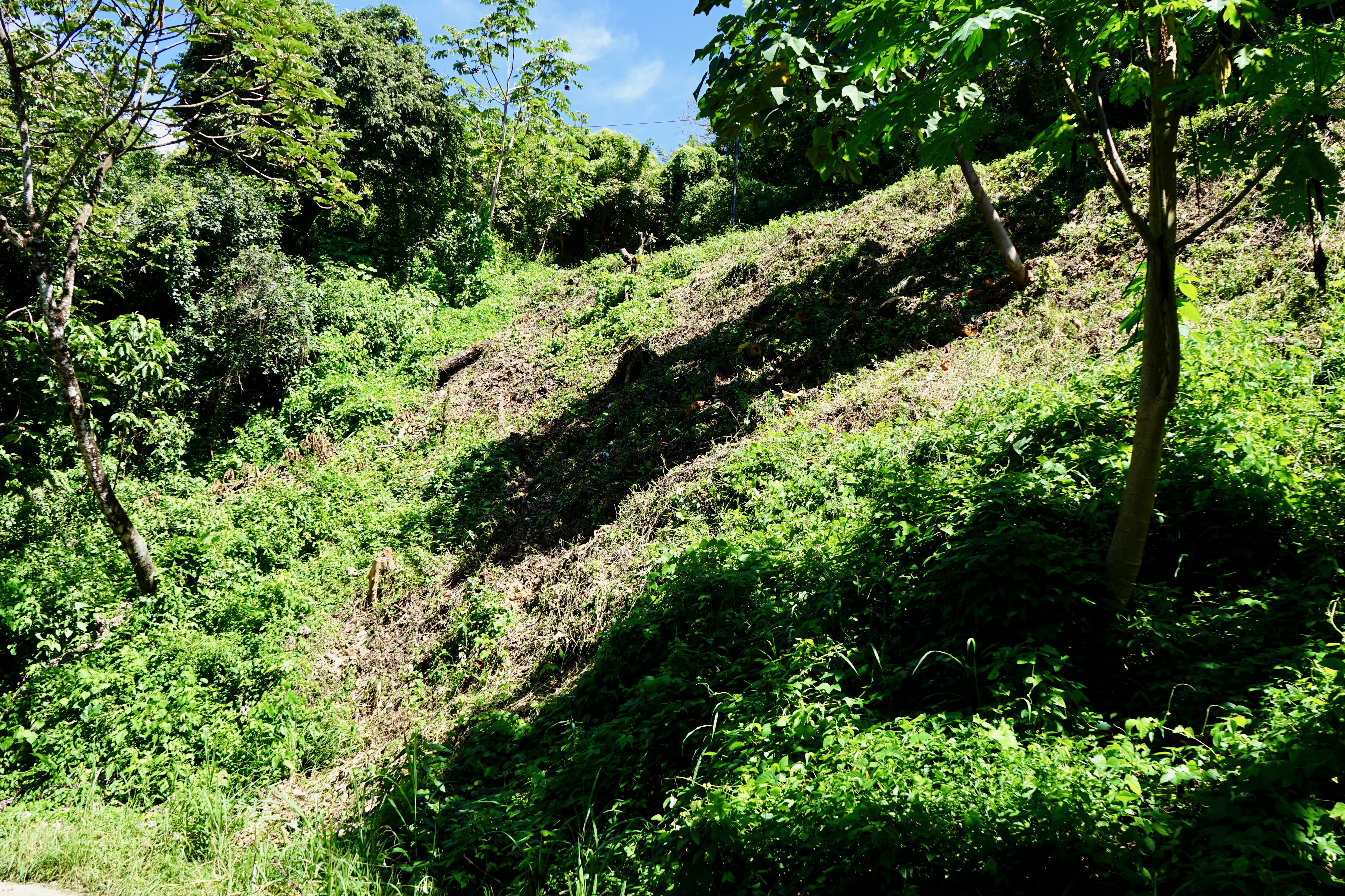 Nosara