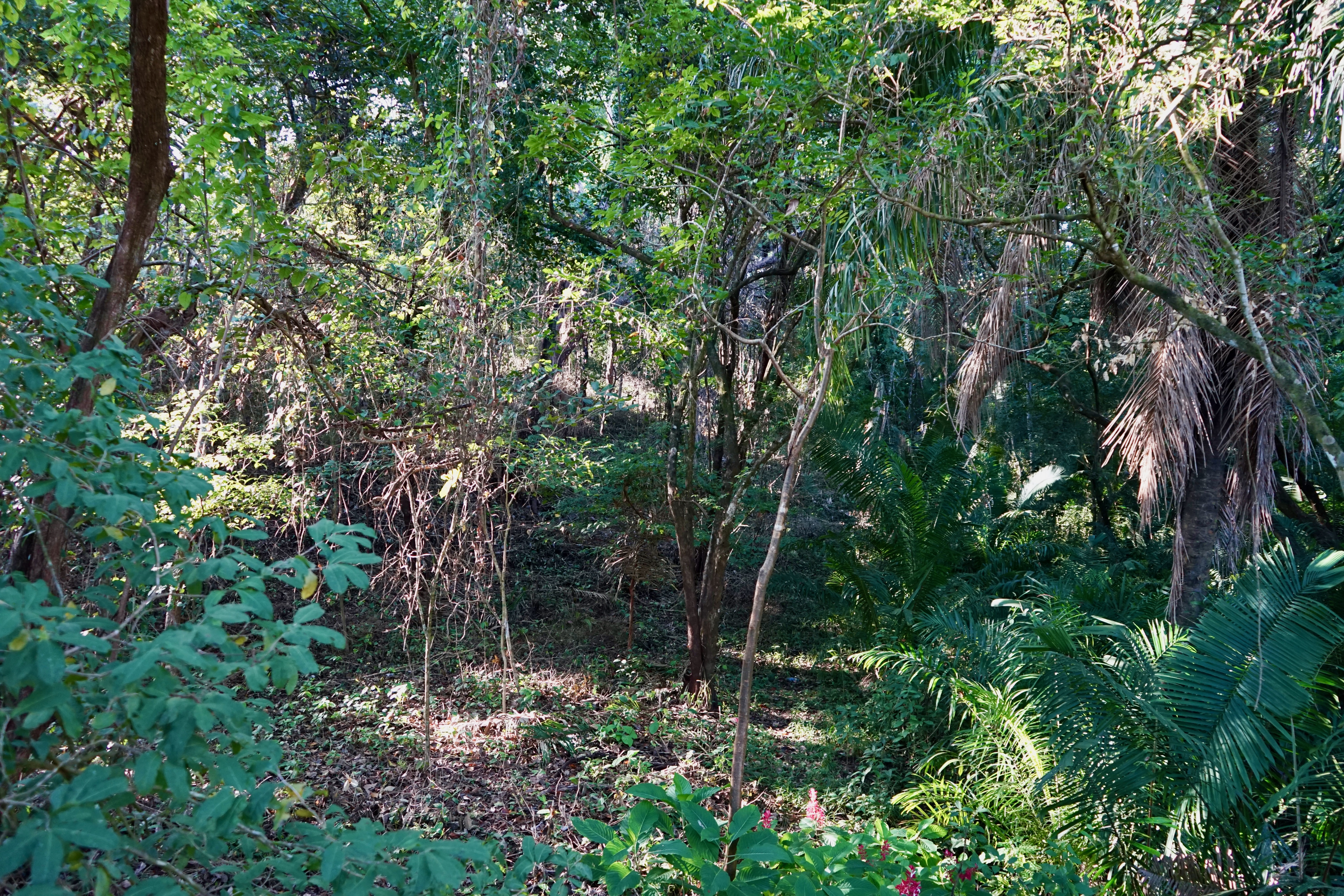 Playa Pelada