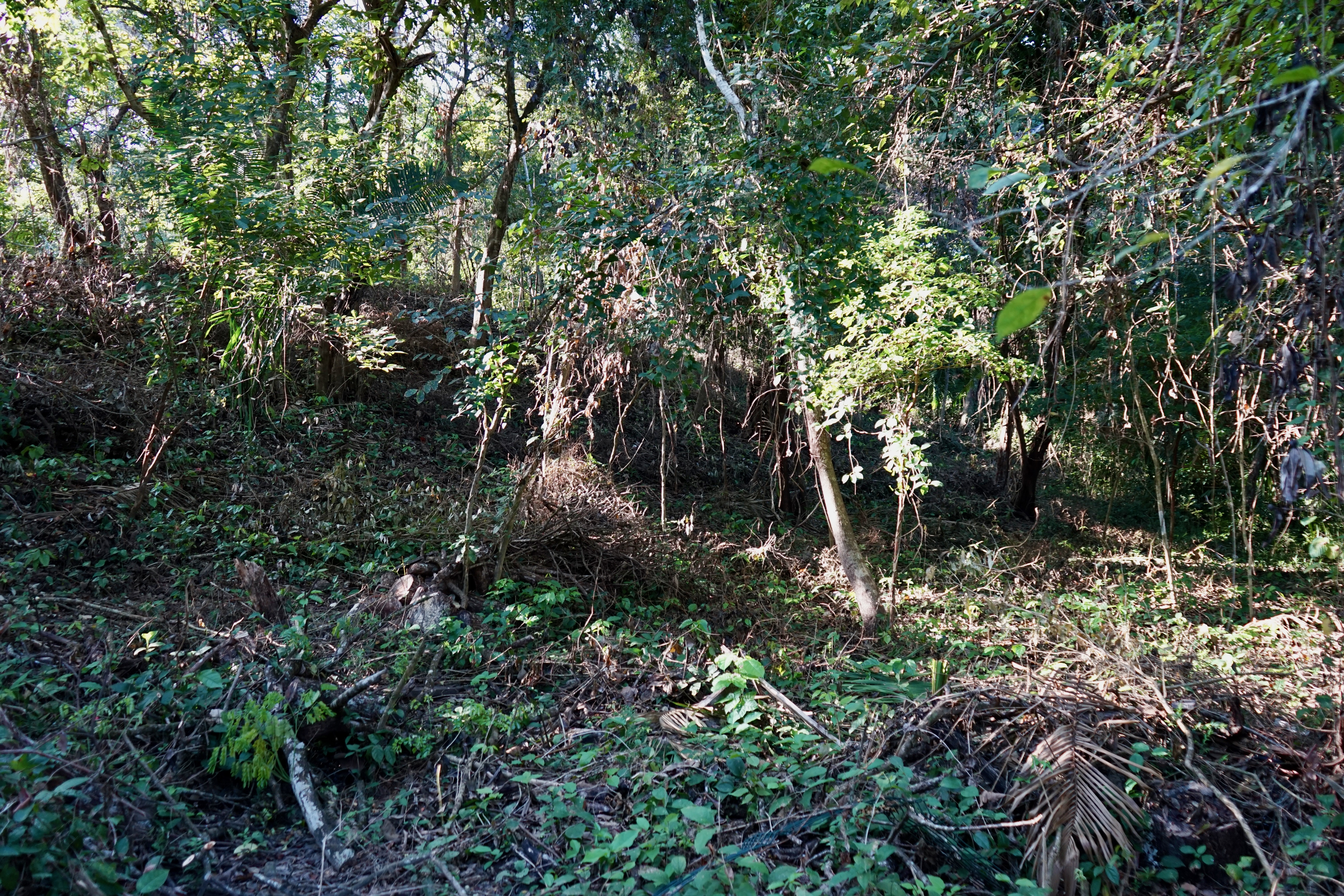 Playa Pelada