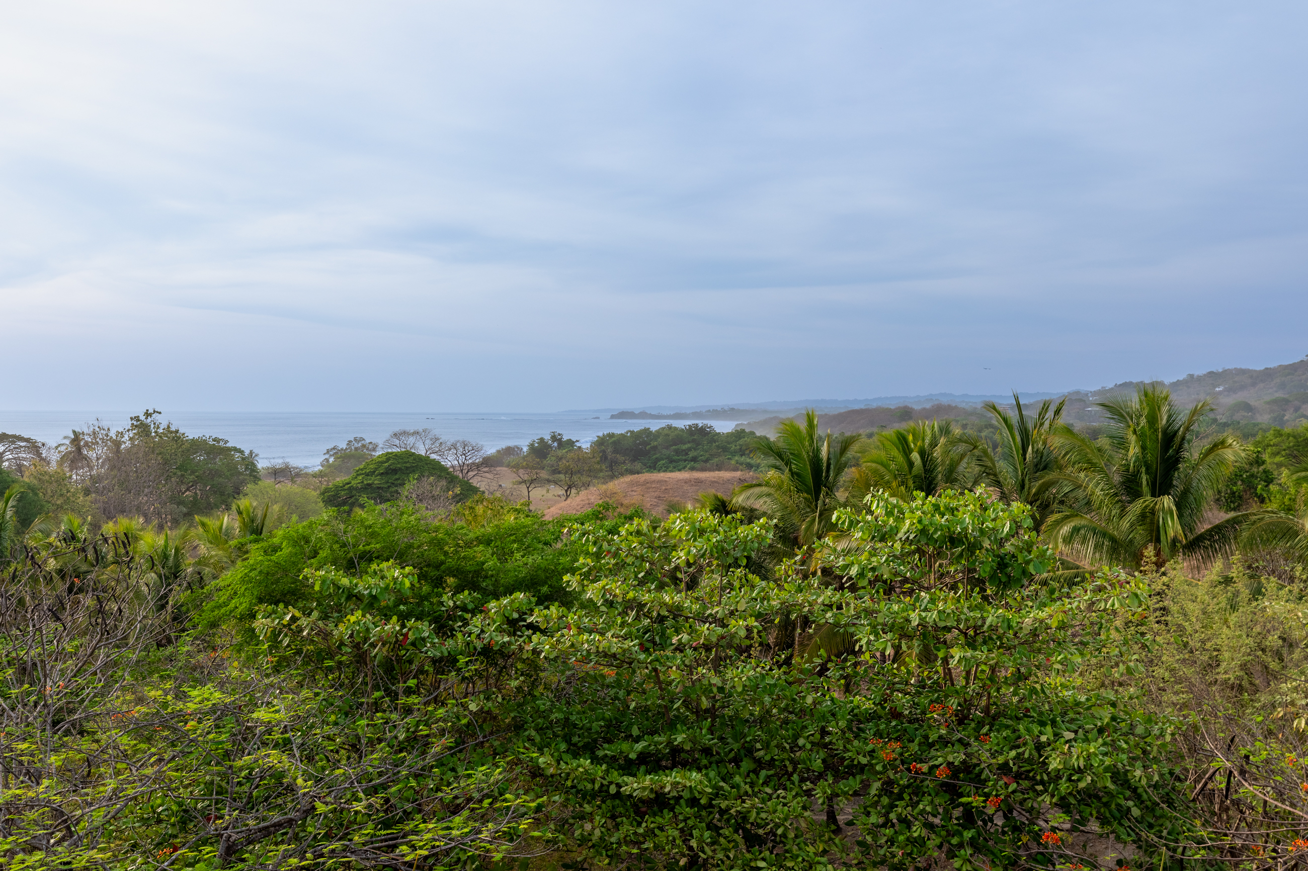 Nosara