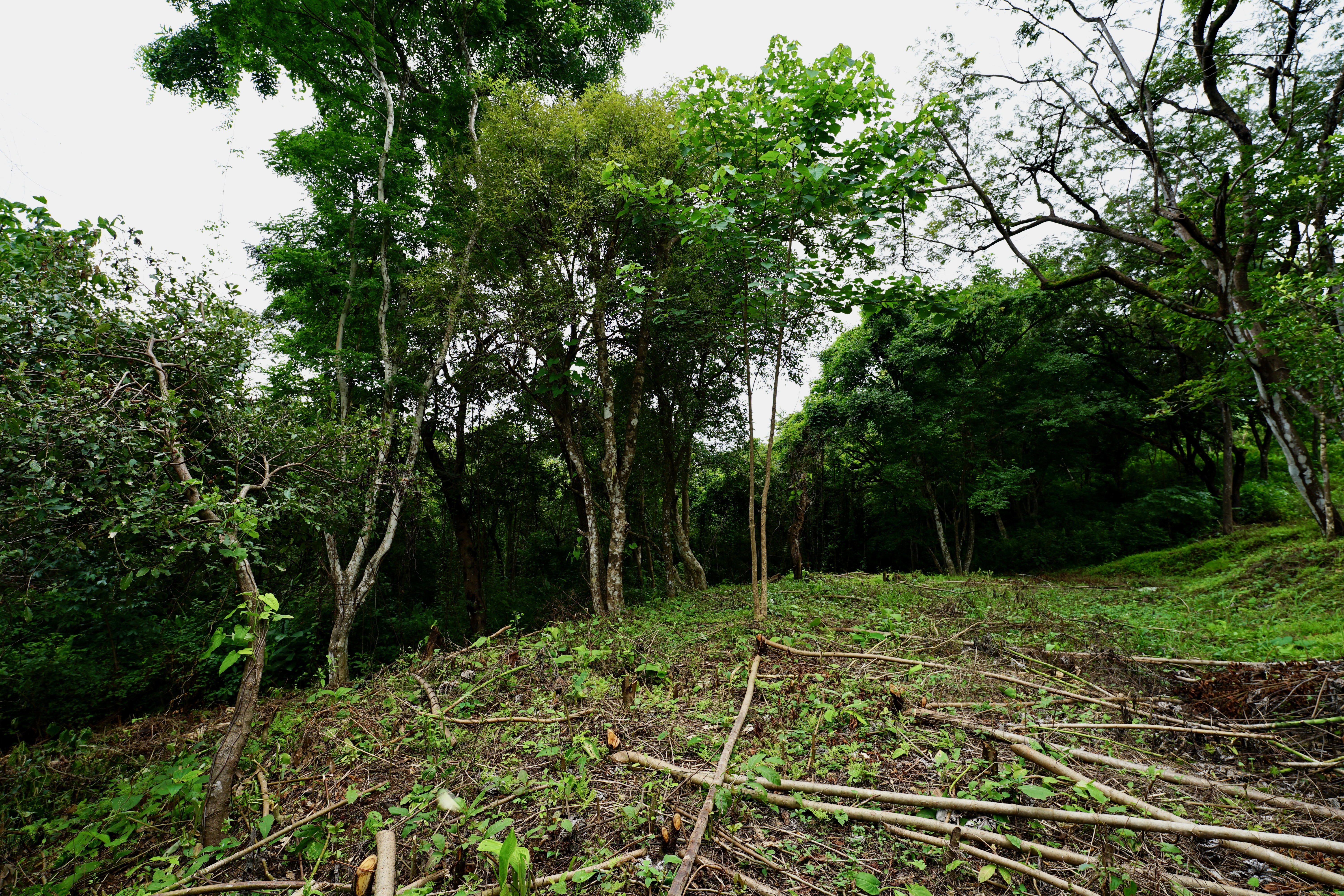 Located in the Delecias area just a short drive to the beach in Playa Garza.