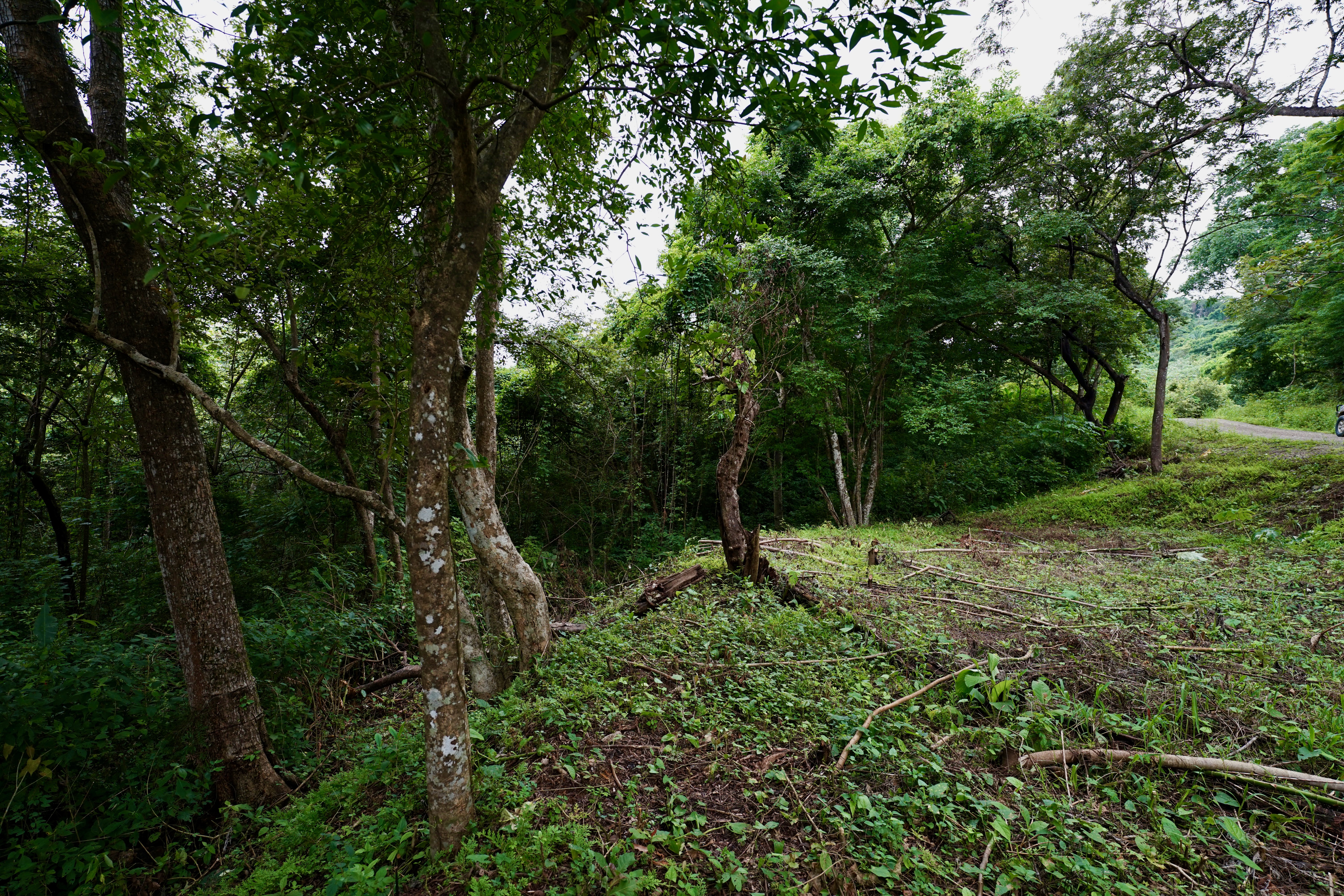 Located in the Delecias area just a short drive to the beach in Playa Garza.