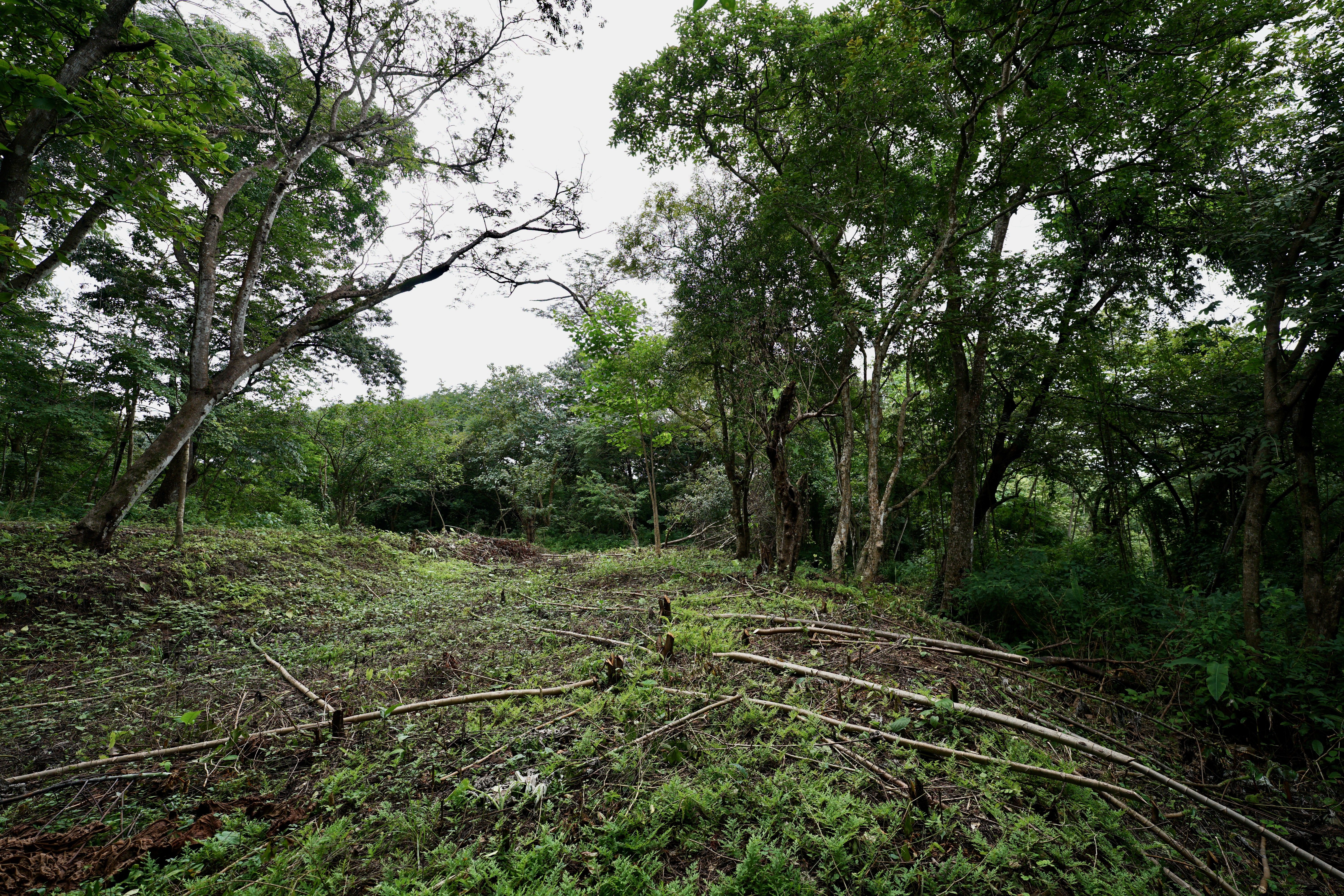 Located in the Delecias area just a short drive to the beach in Playa Garza.