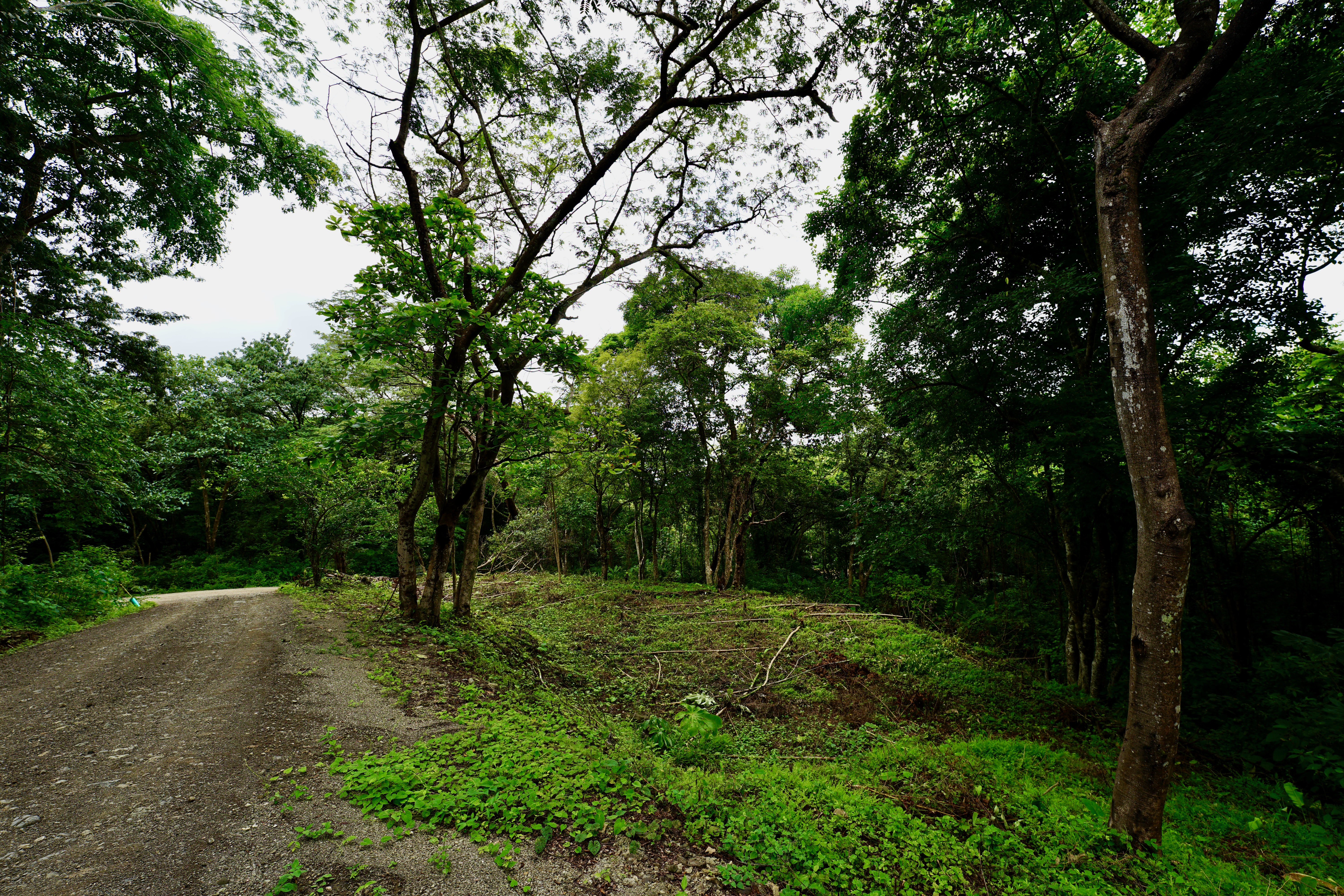 Located in the Delecias area just a short drive to the beach in Playa Garza.