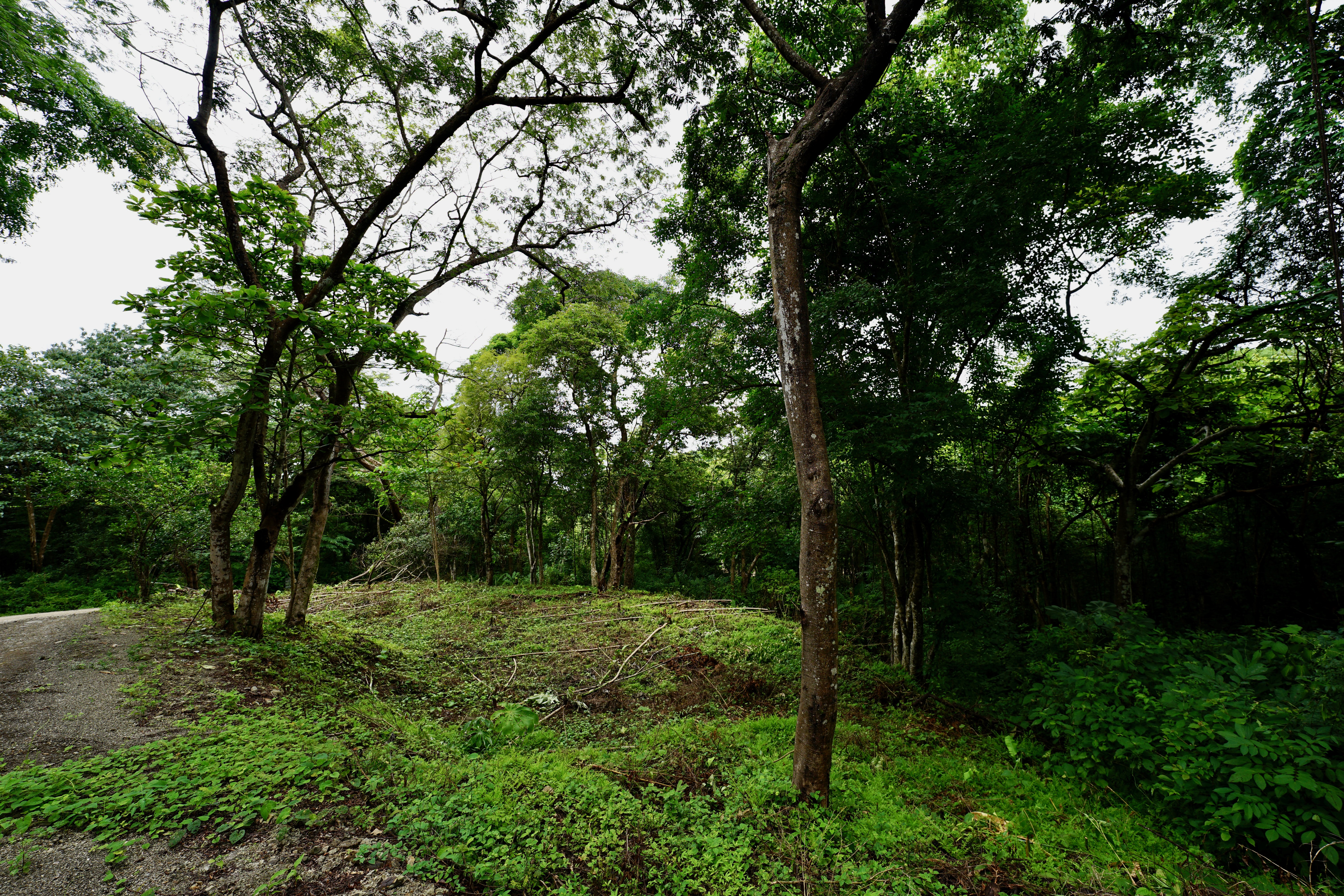 Located in the Delecias area just a short drive to the beach in Playa Garza.