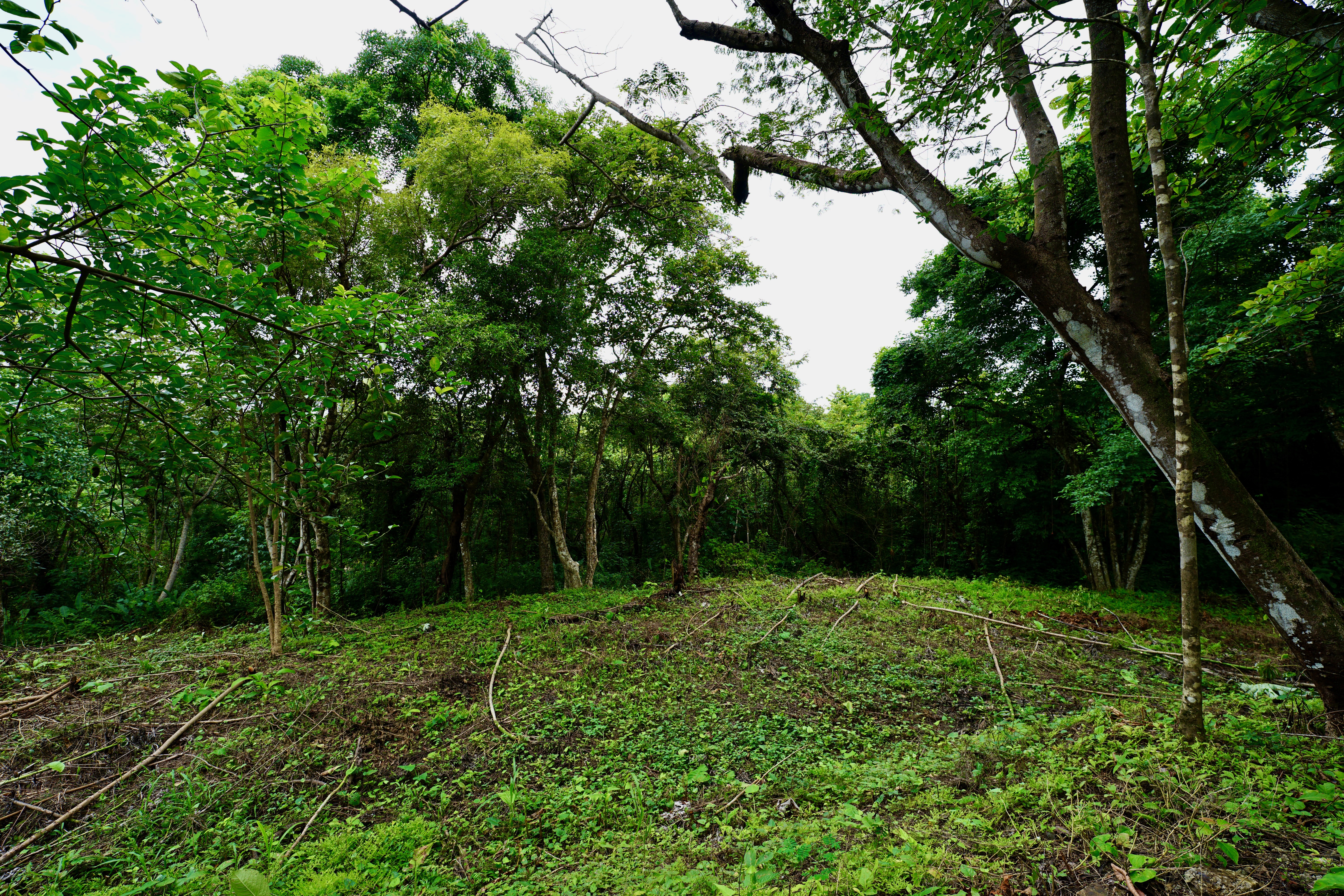 Located in the Delecias area just a short drive to the beach in Playa Garza.