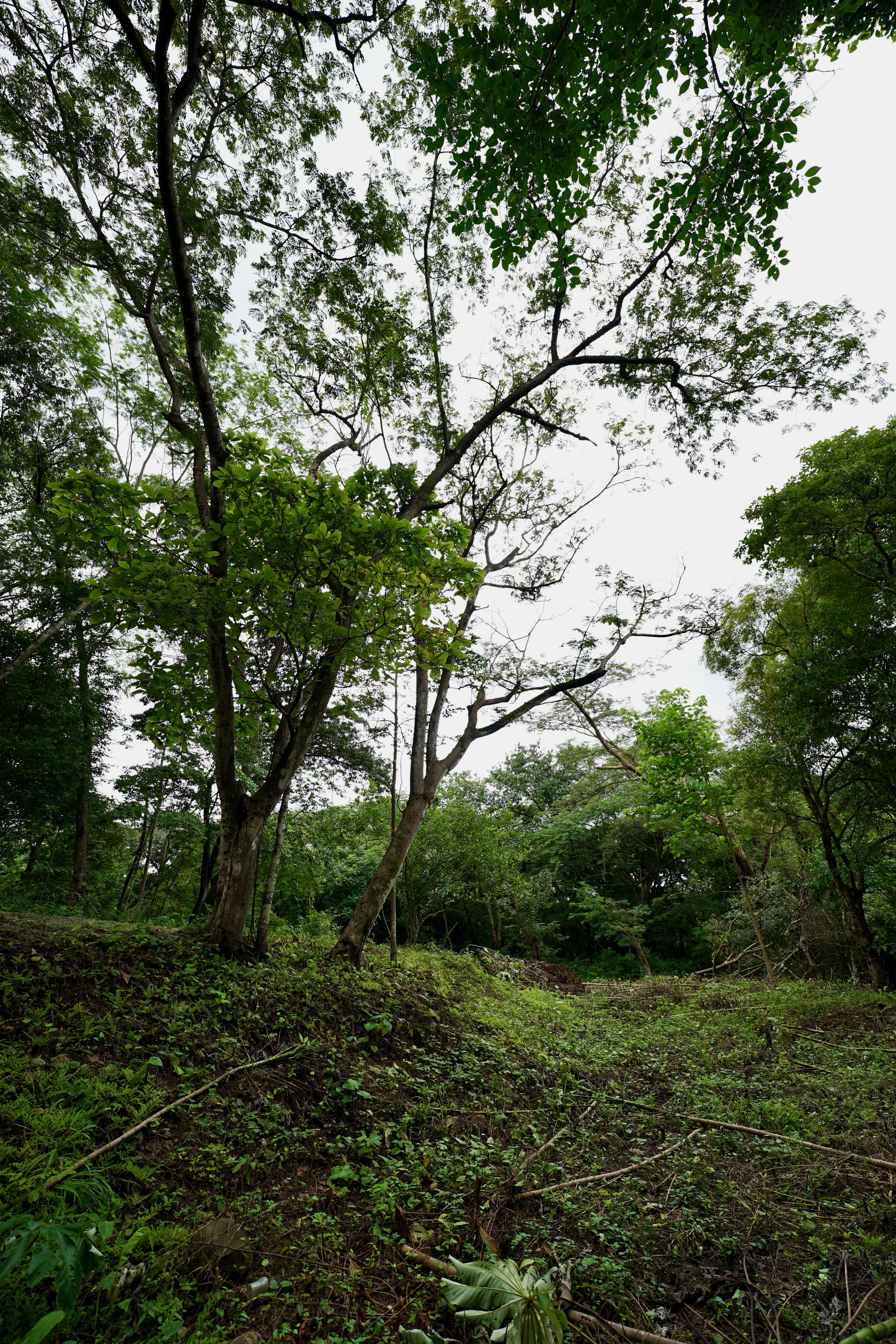 Located in the Delecias area just a short drive to the beach in Playa Garza.