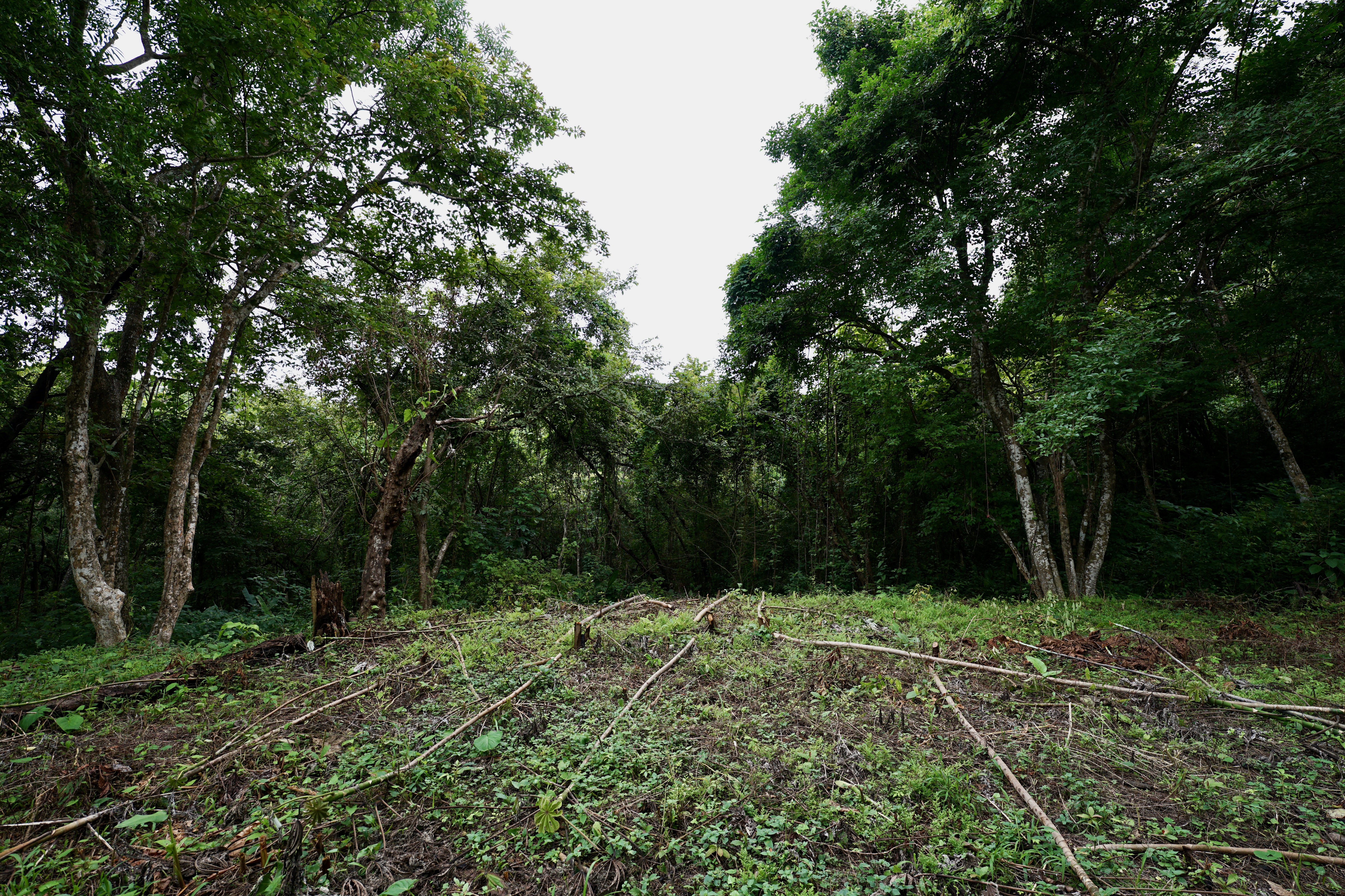 Located in the Delecias area just a short drive to the beach in Playa Garza.