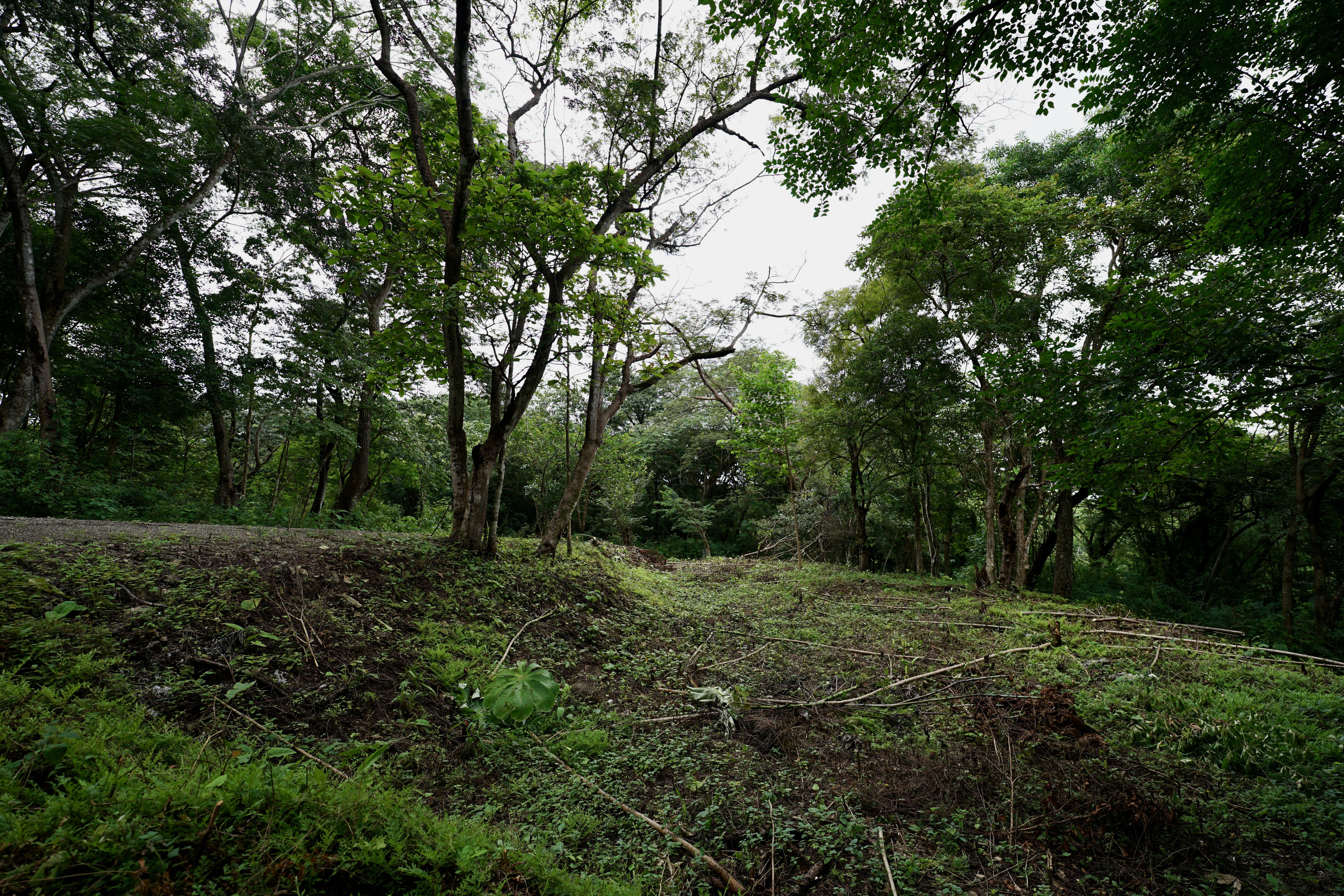 Located in the Delecias area just a short drive to the beach in Playa Garza.