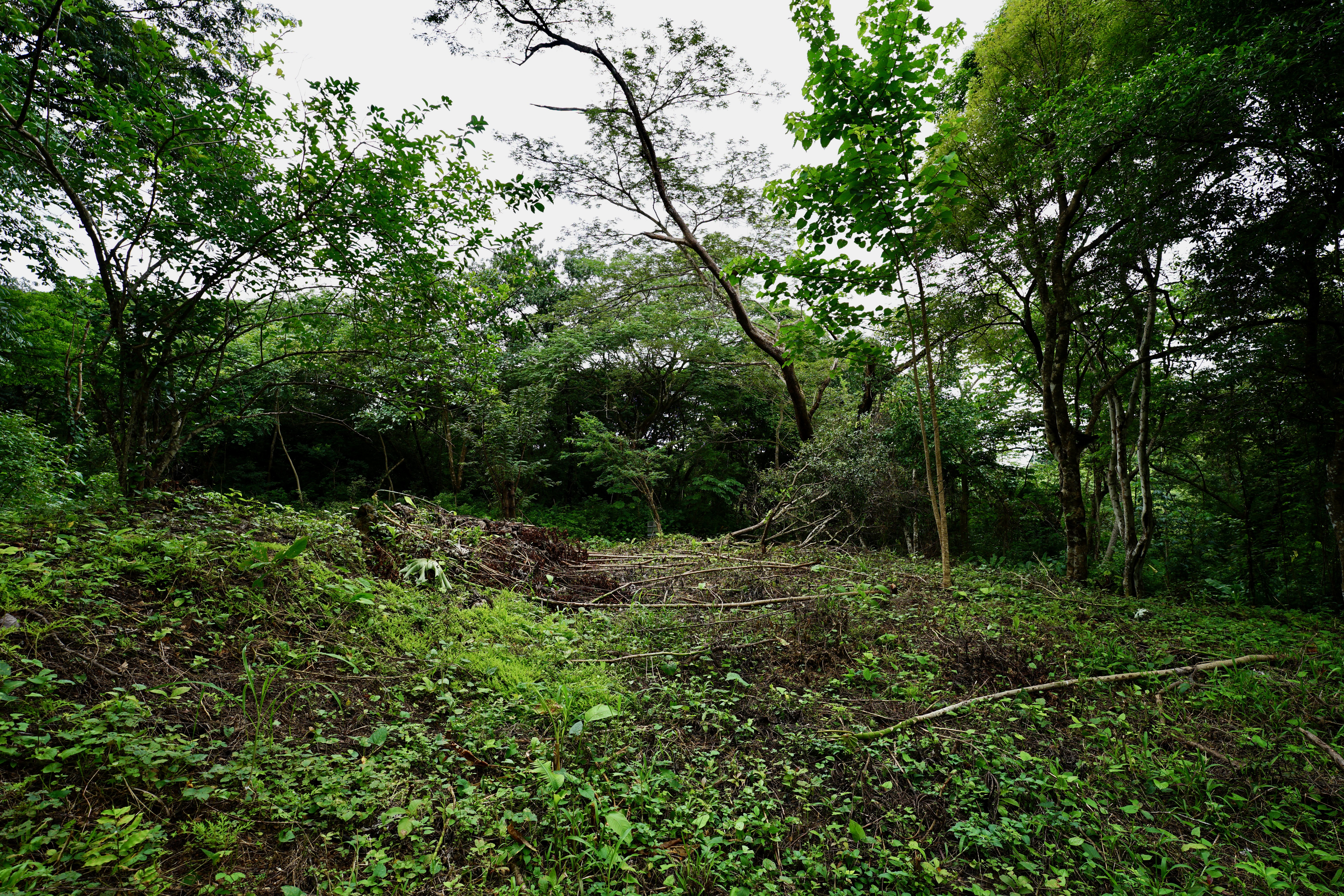 Located in the Delecias area just a short drive to the beach in Playa Garza.