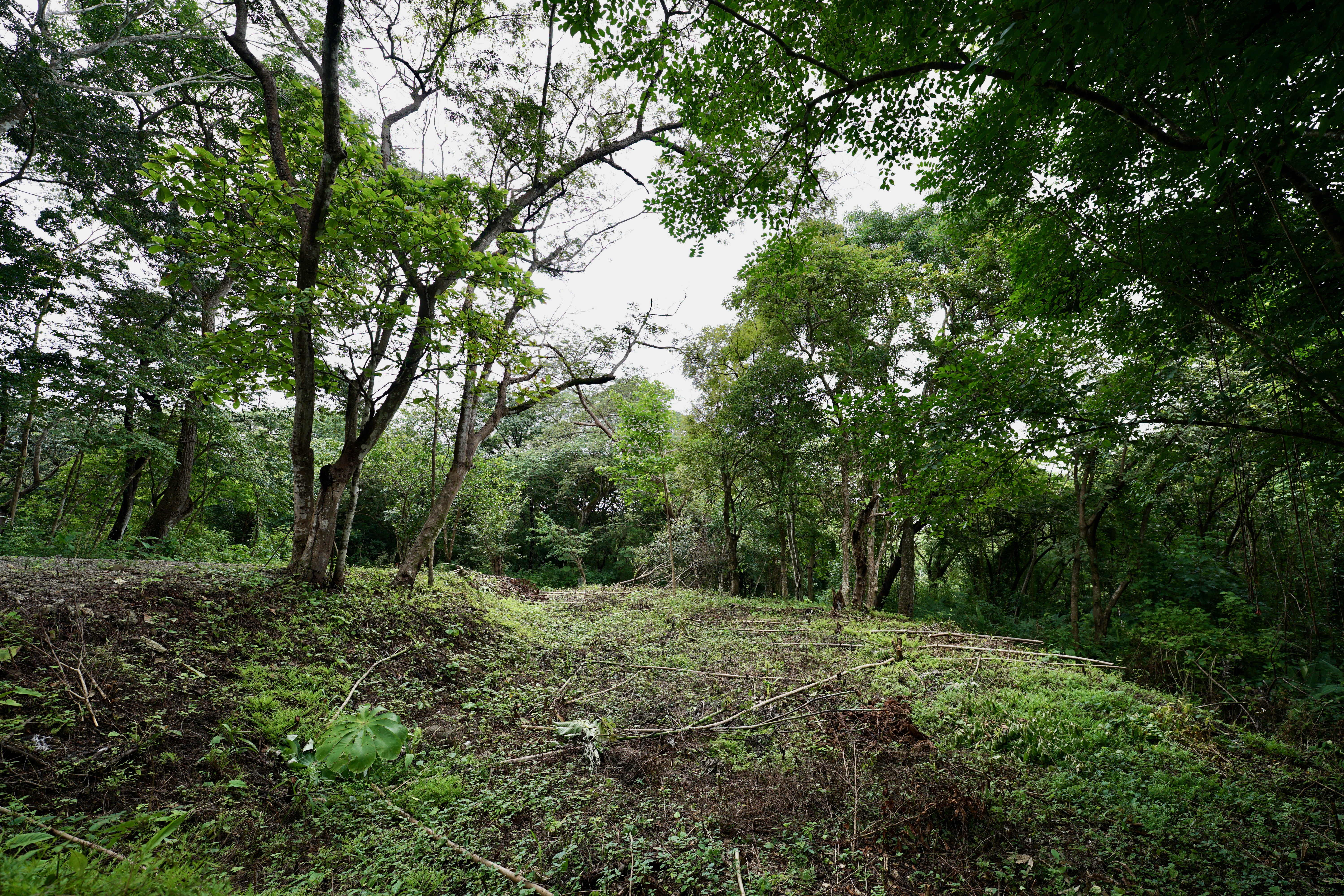 Located in the Delecias area just a short drive to the beach in Playa Garza.