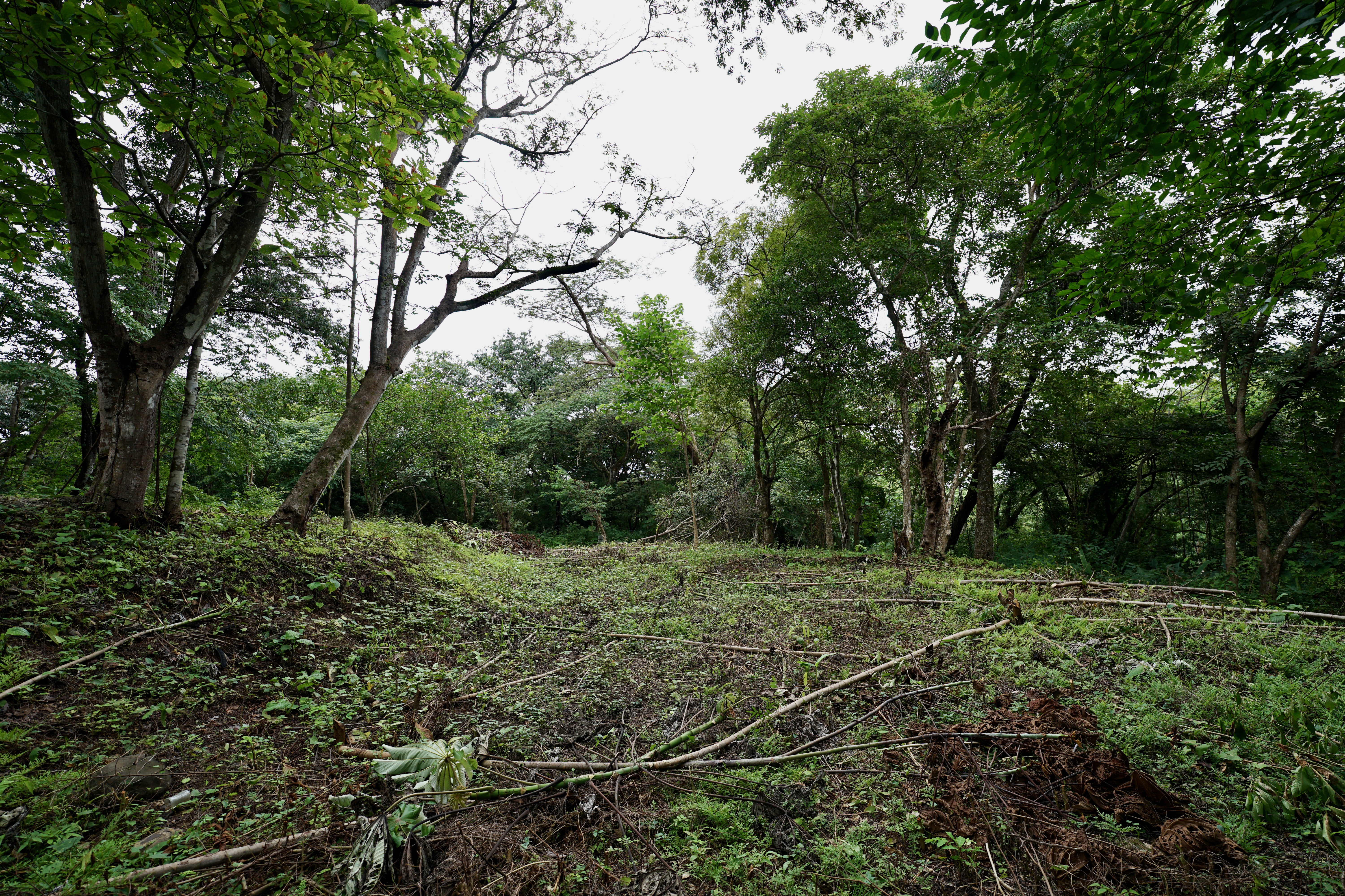 Located in the Delecias area just a short drive to the beach in Playa Garza.