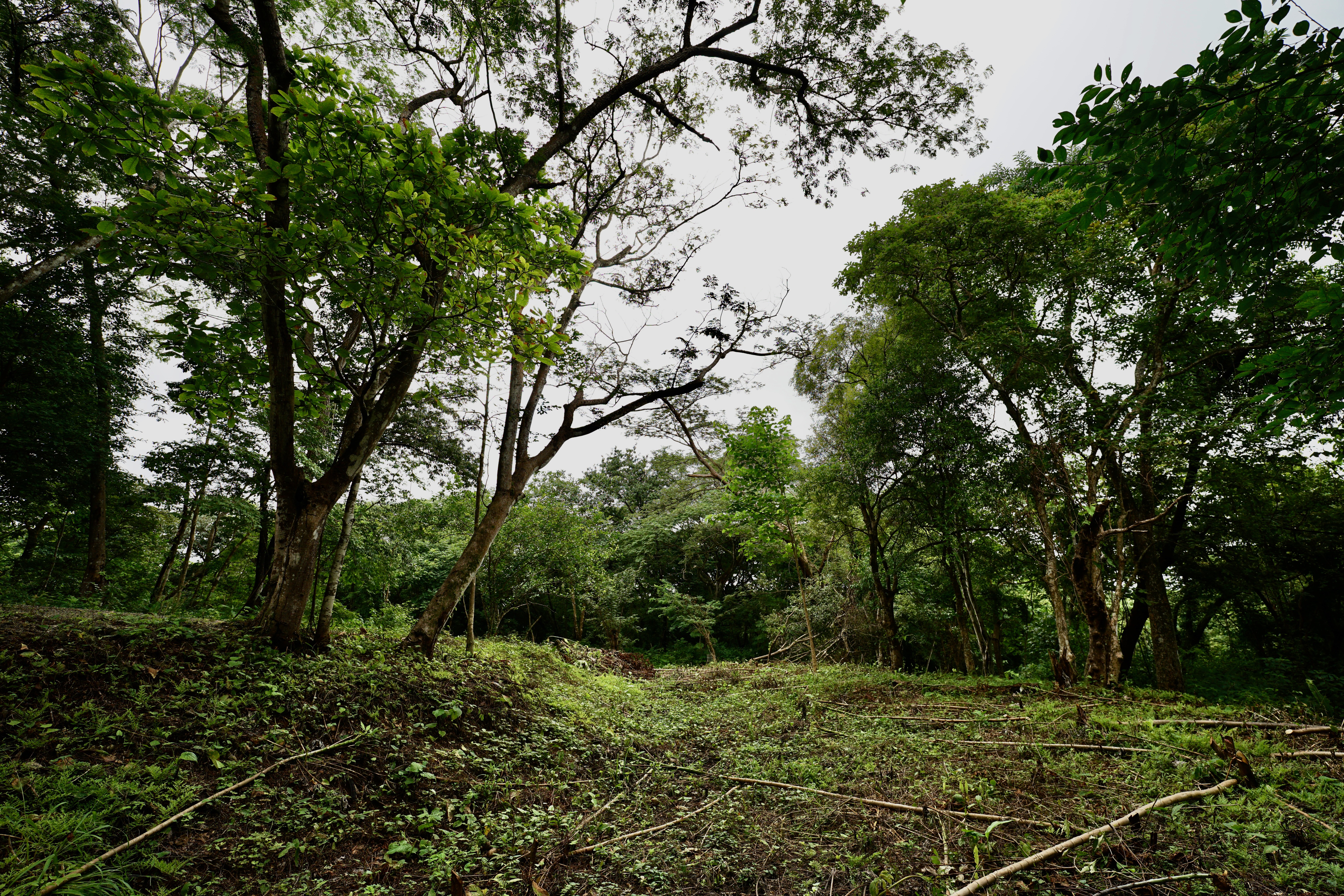 Located in the Delecias area just a short drive to the beach in Playa Garza.