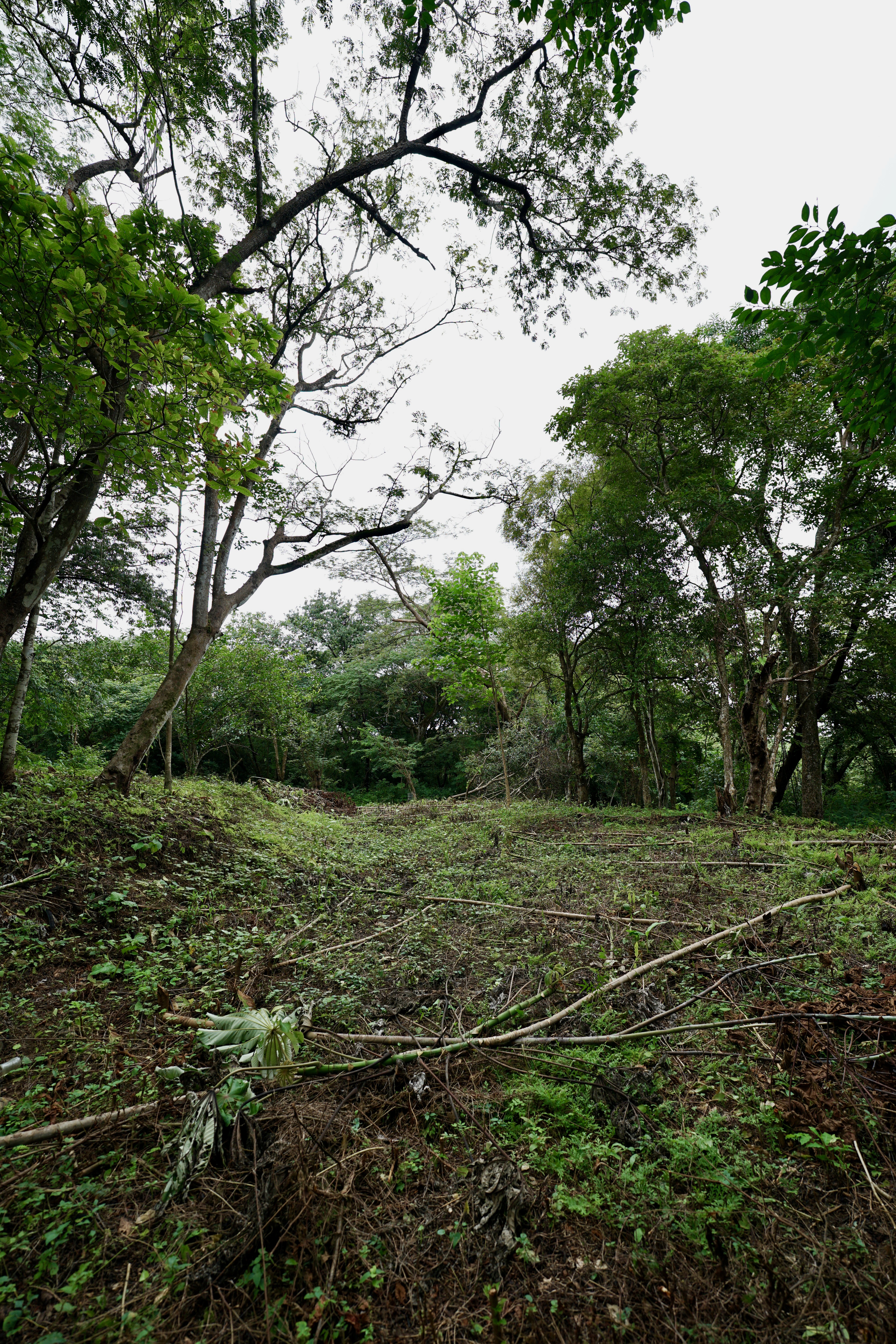 Located in the Delecias area just a short drive to the beach in Playa Garza.