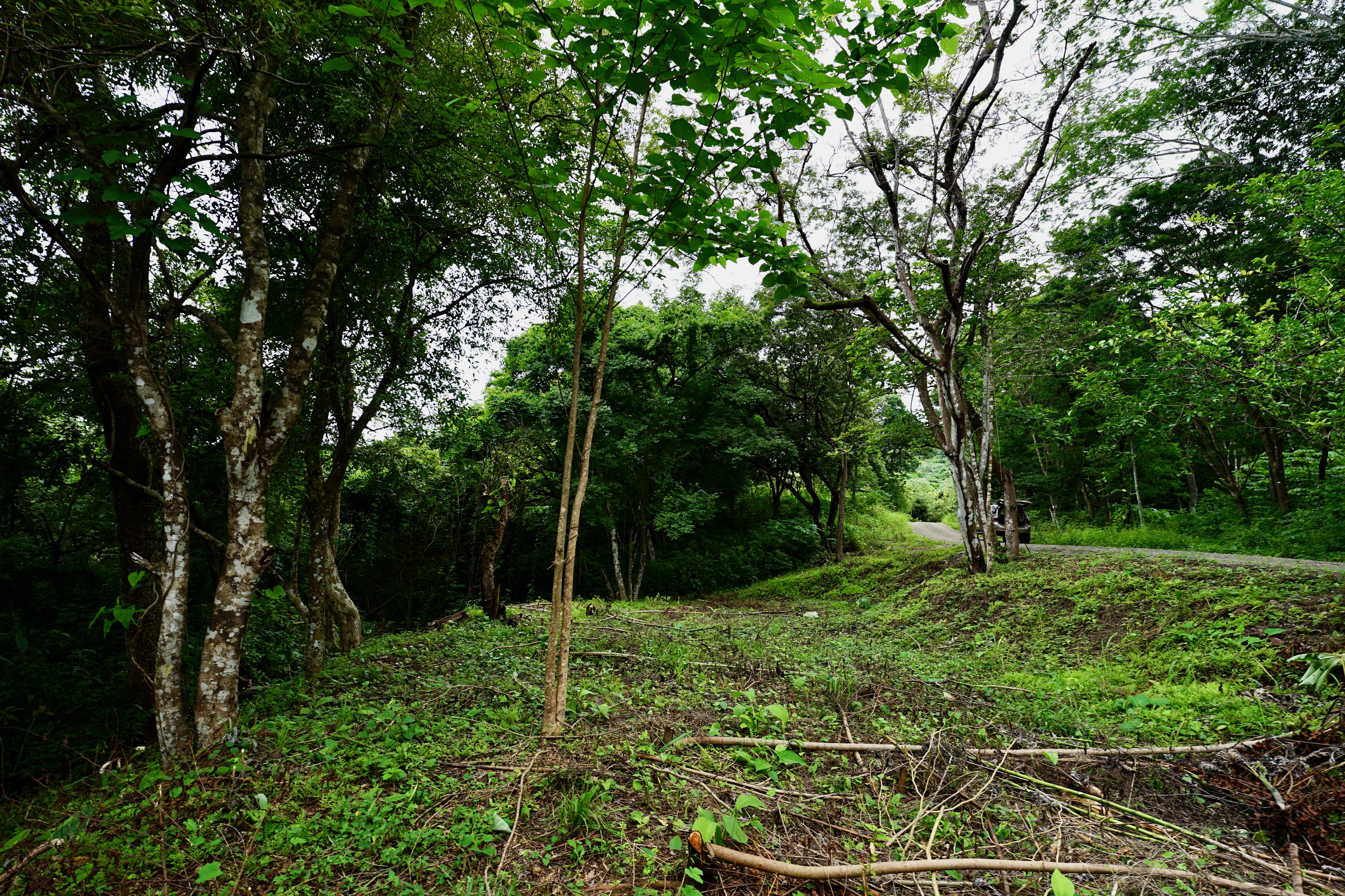 Located in the Delecias area just a short drive to the beach in Playa Garza.