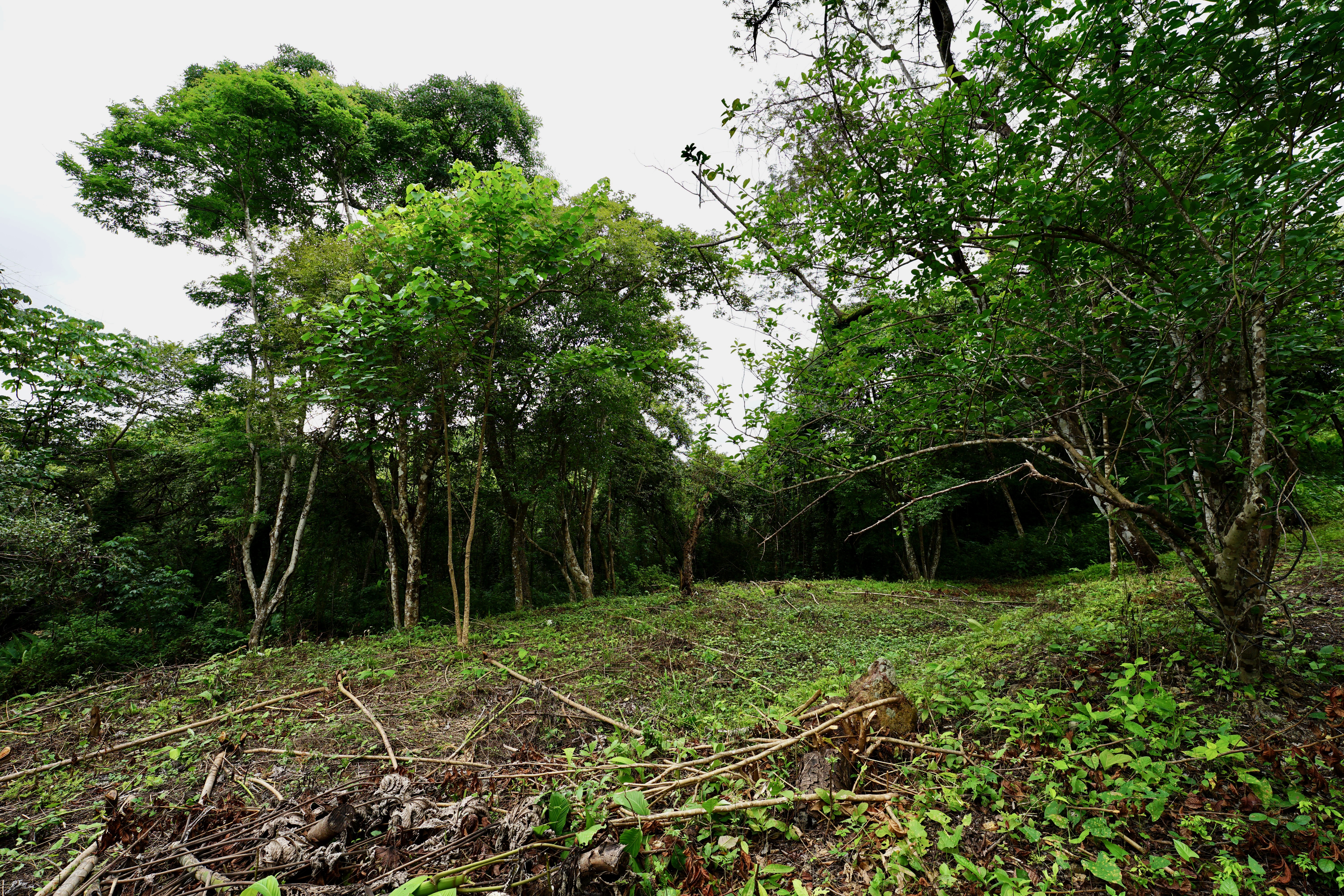 Located in the Delecias area just a short drive to the beach in Playa Garza.