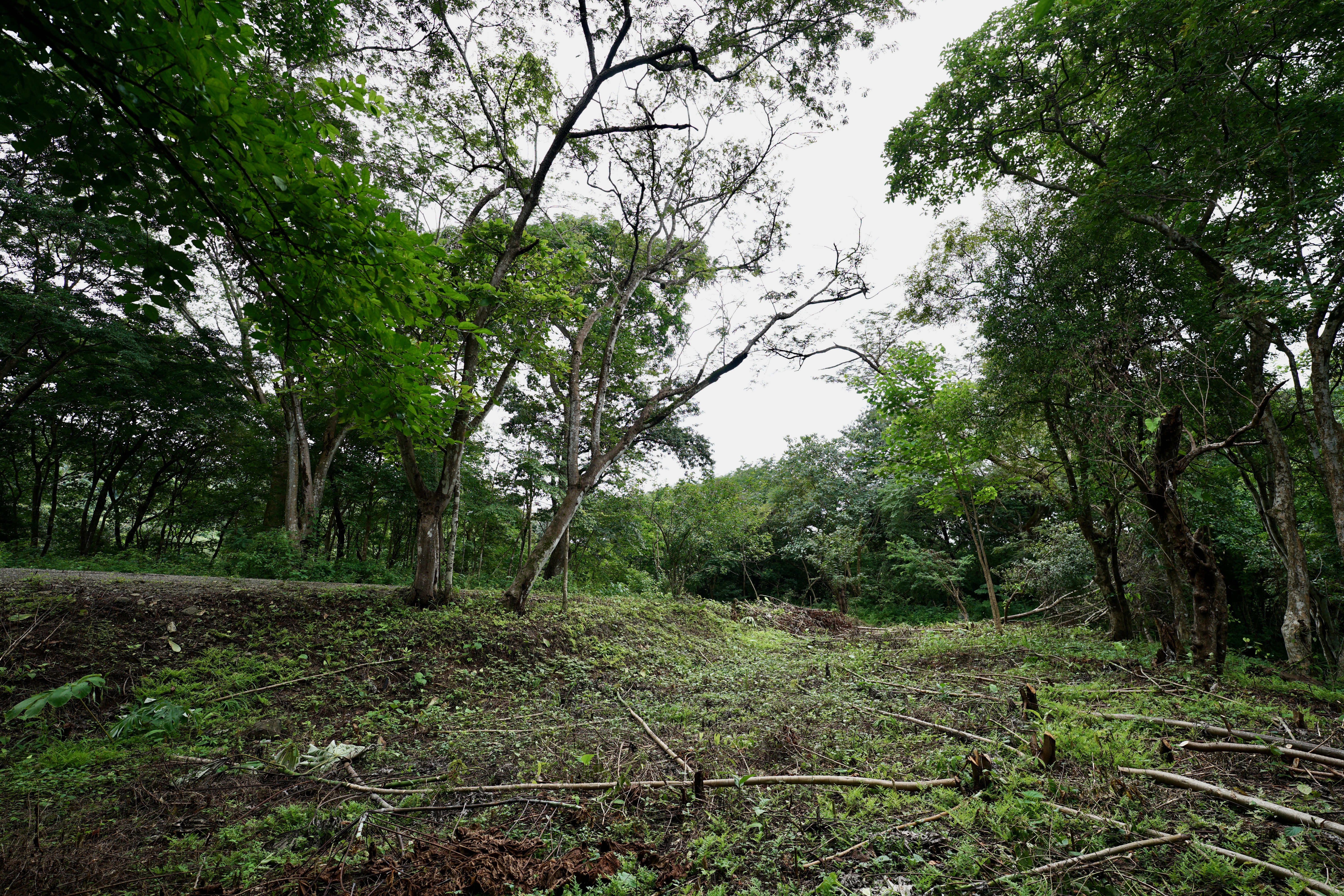 Located in the Delecias area just a short drive to the beach in Playa Garza.