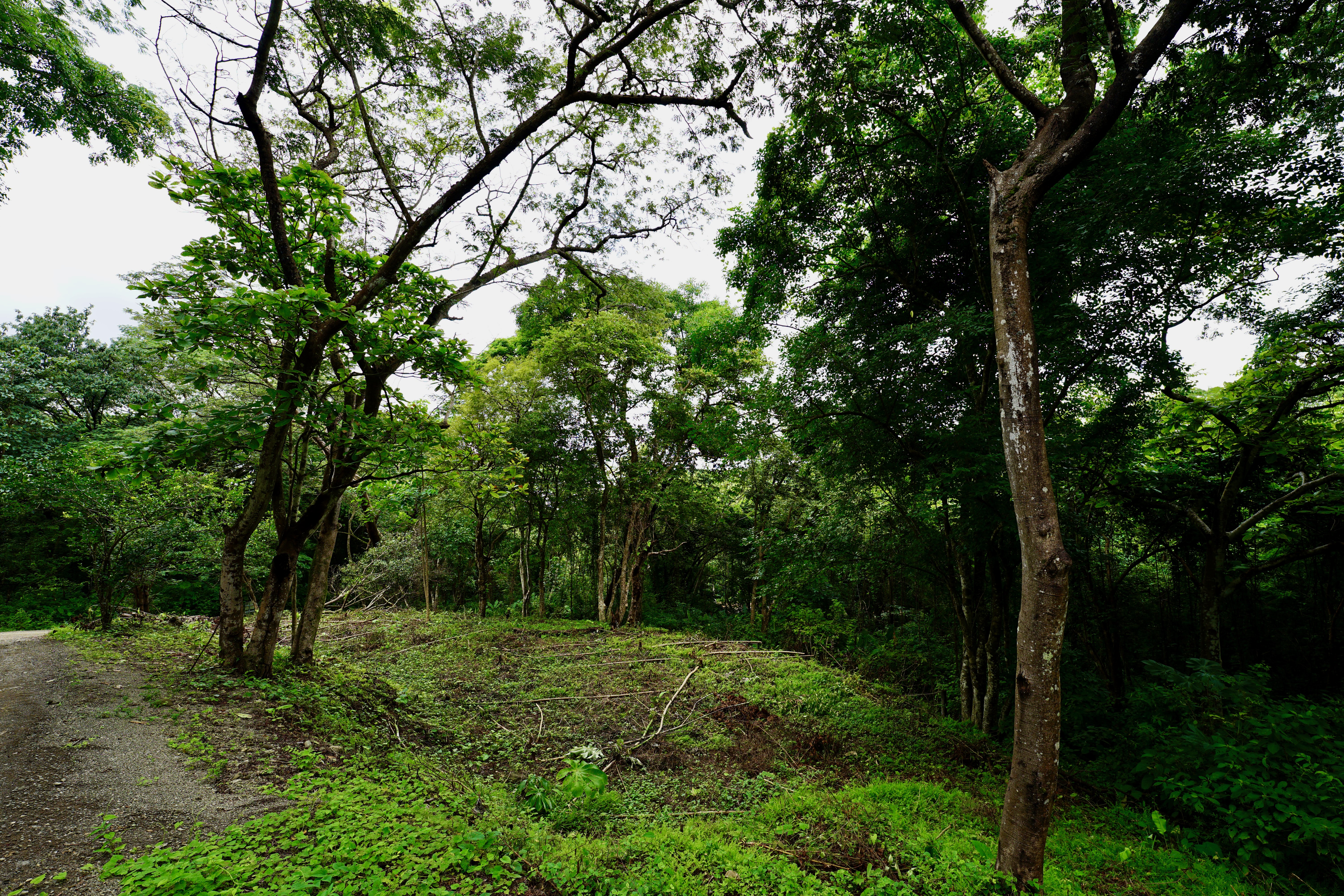 Located in the Delecias area just a short drive to the beach in Playa Garza.