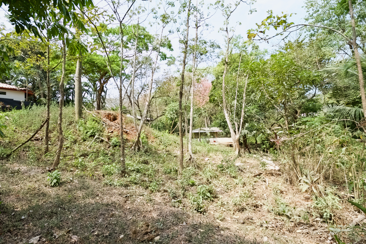 Nosara