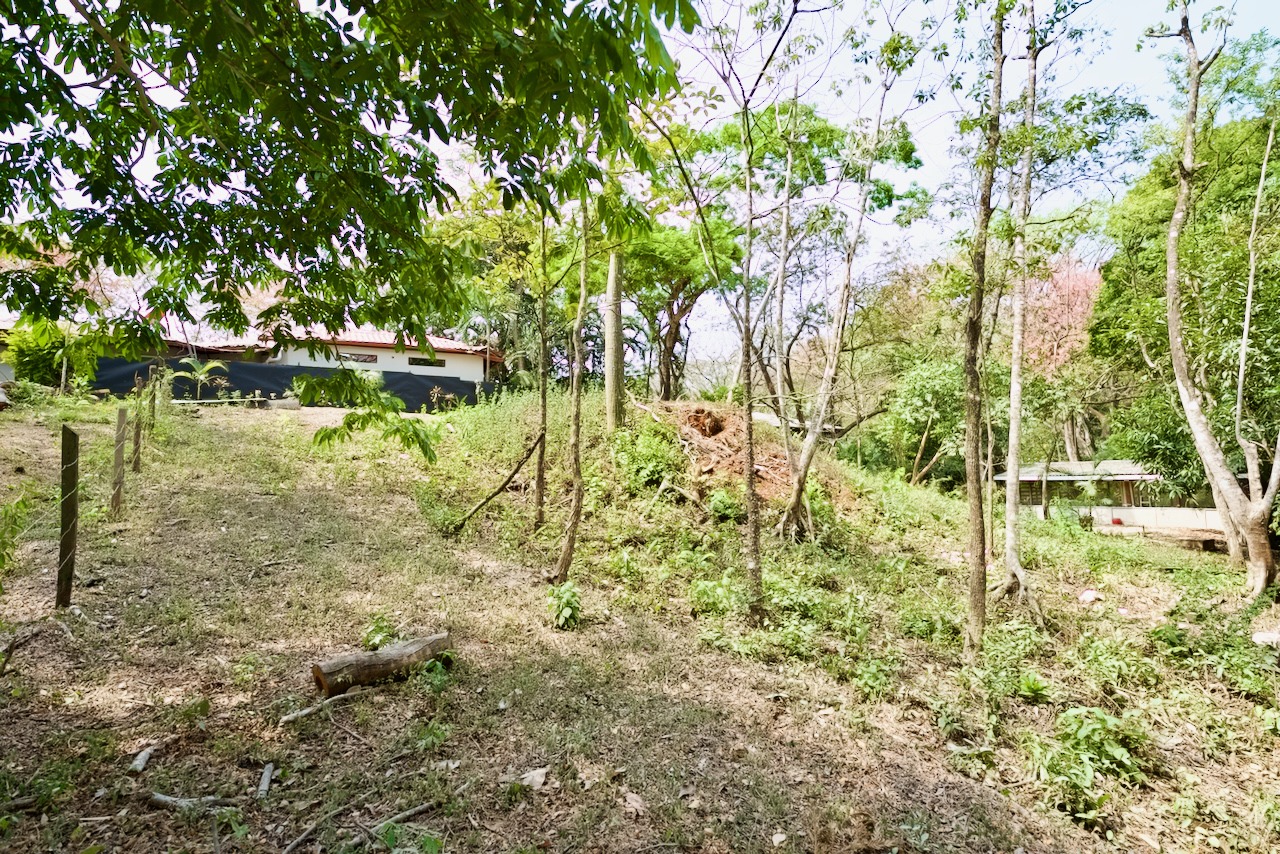 Nosara